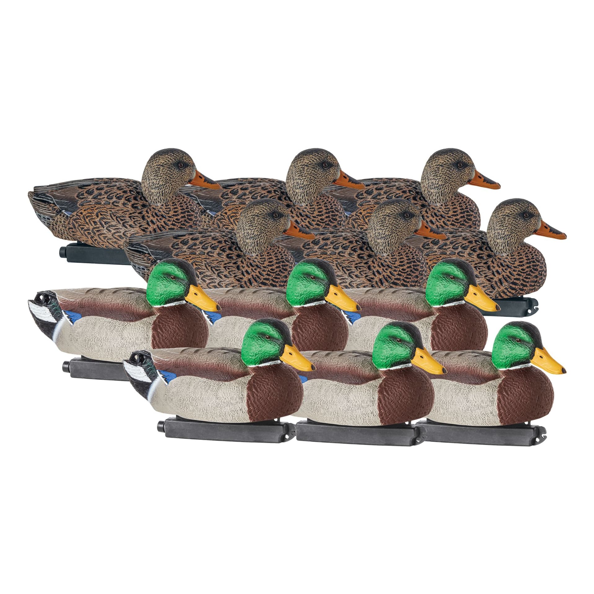 Northern Flight™ Big Spread LifeSize Mallard Duck Decoys Cabela's Canada
