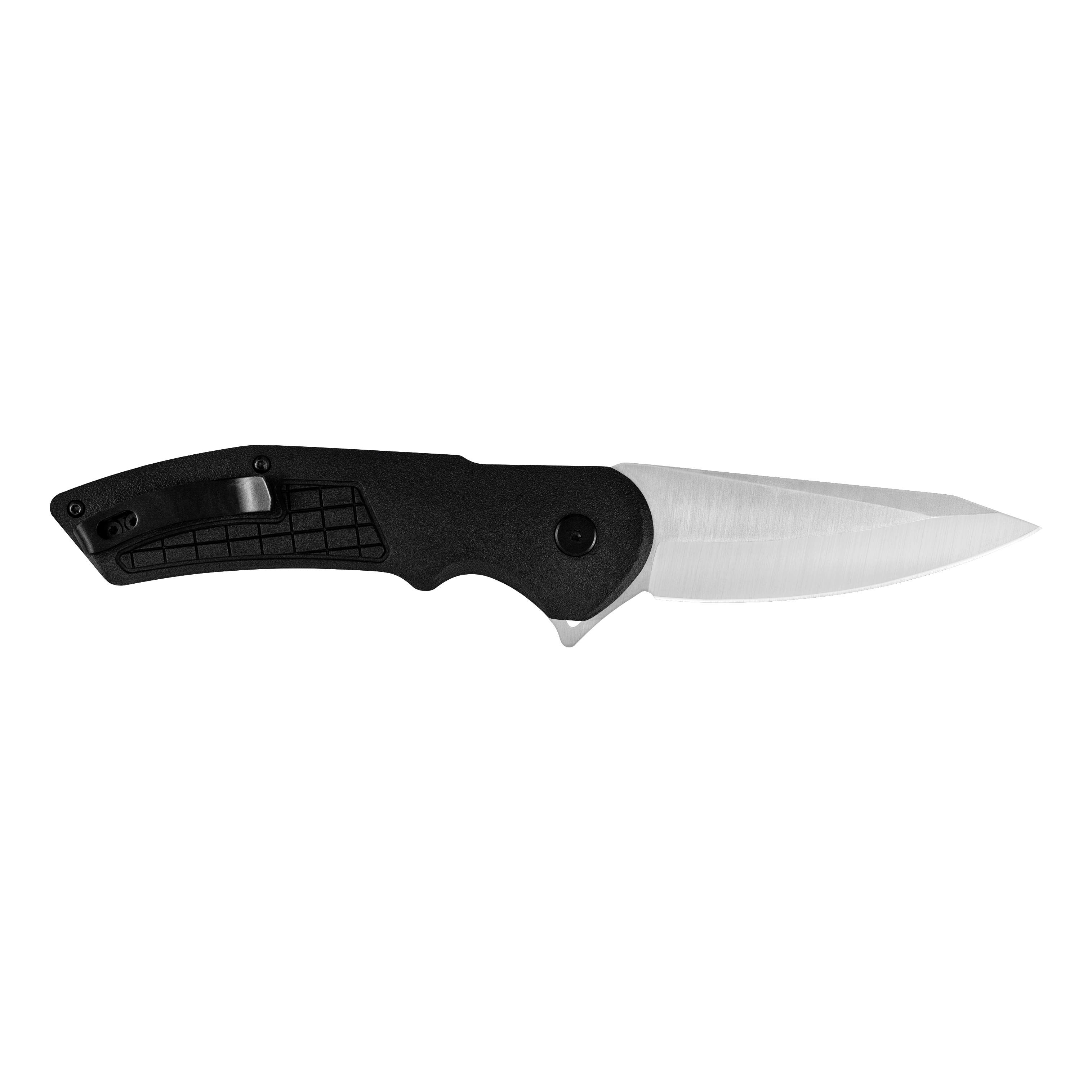 Buck® Hexam Folding Knife - Black
