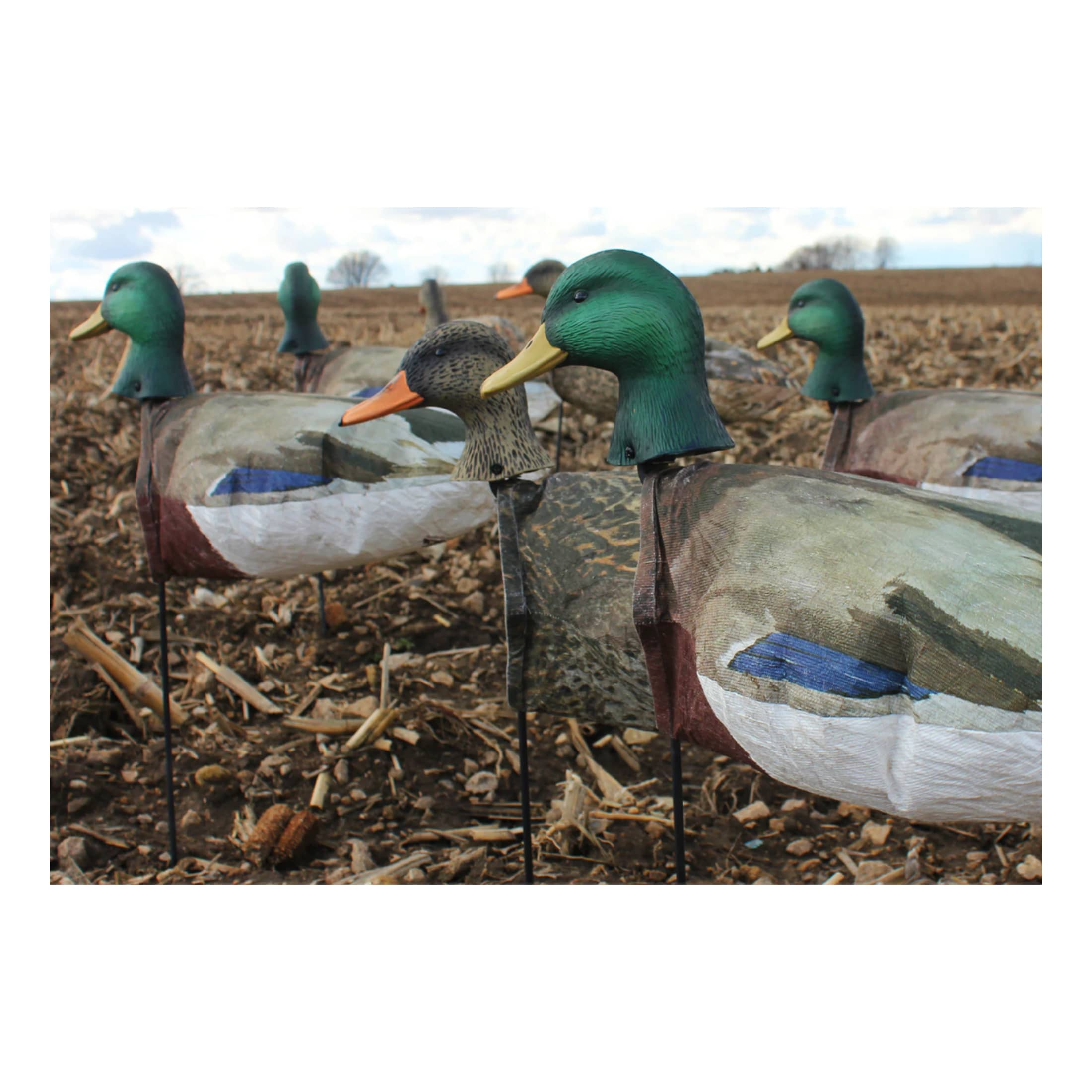 White Rock Greenhead and Hen Mallard Windsock Decoy Cabela's Canada