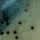 Nuked Pilchard Glow