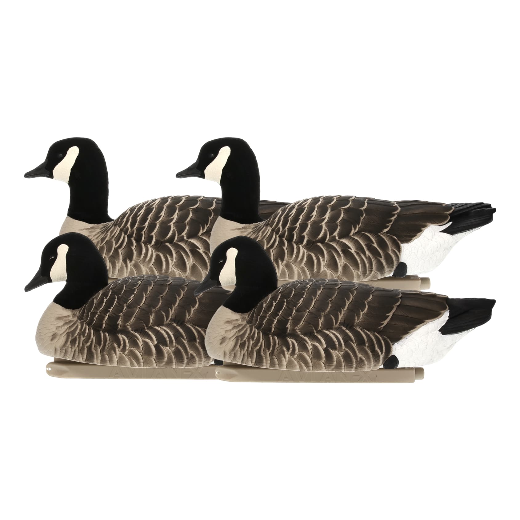 AvianX® Topflight Lessers Floating Goose Decoys Cabela's Canada