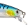 Blue Mackerel