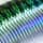 Green Mackerel