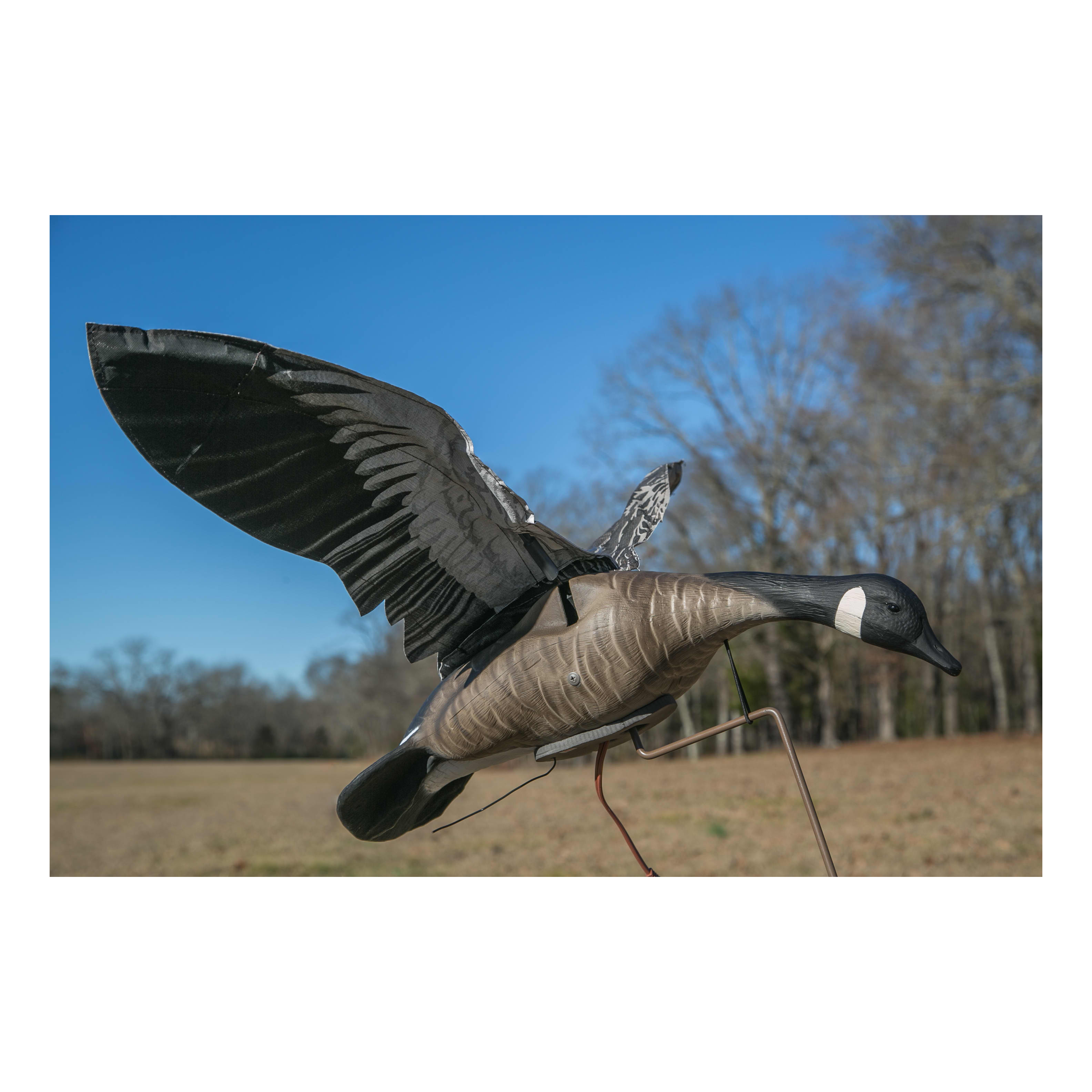 Higdon Clone Canada Goose Motorized Decoy | Cabela's Canada