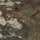 Strata