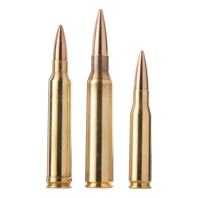Barnes® Precision Match Centerfire Rifle Ammunition