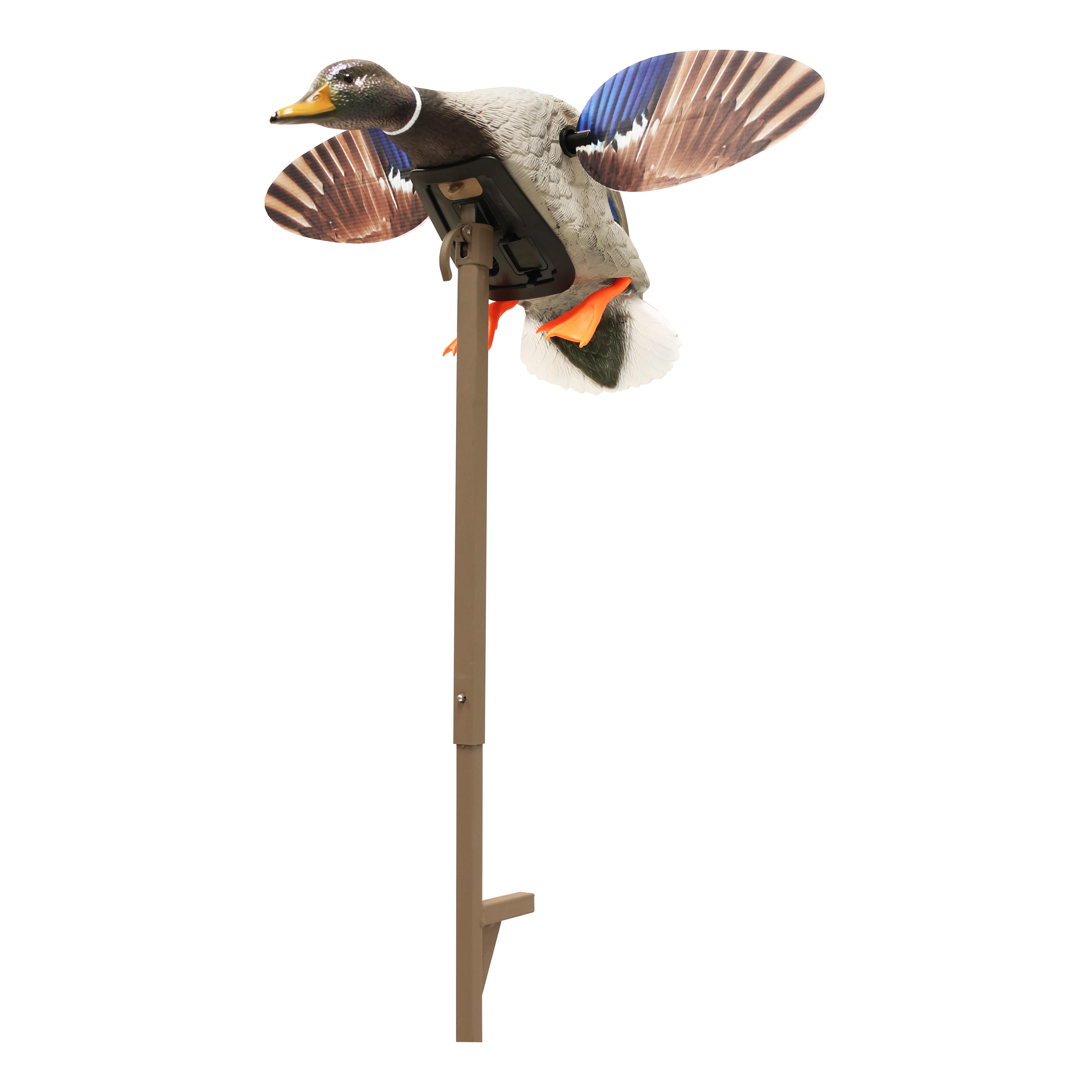 MOJO Outdoors Elite Series Mini Mallard Drake Motorized Duck Decoy