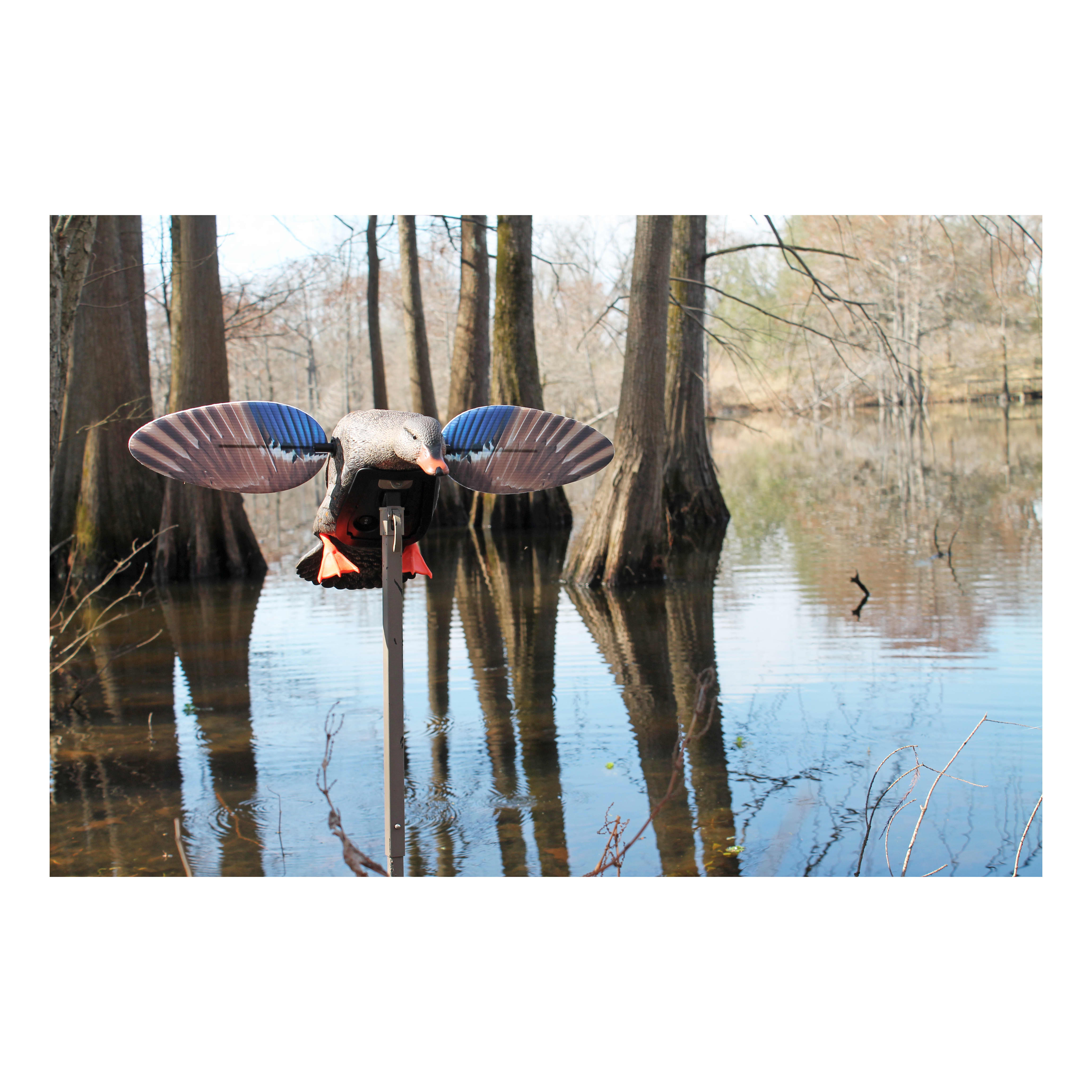 MOJO® Outdoors Elite Series™ Mini Mallard Hen Motorized Duck Decoy