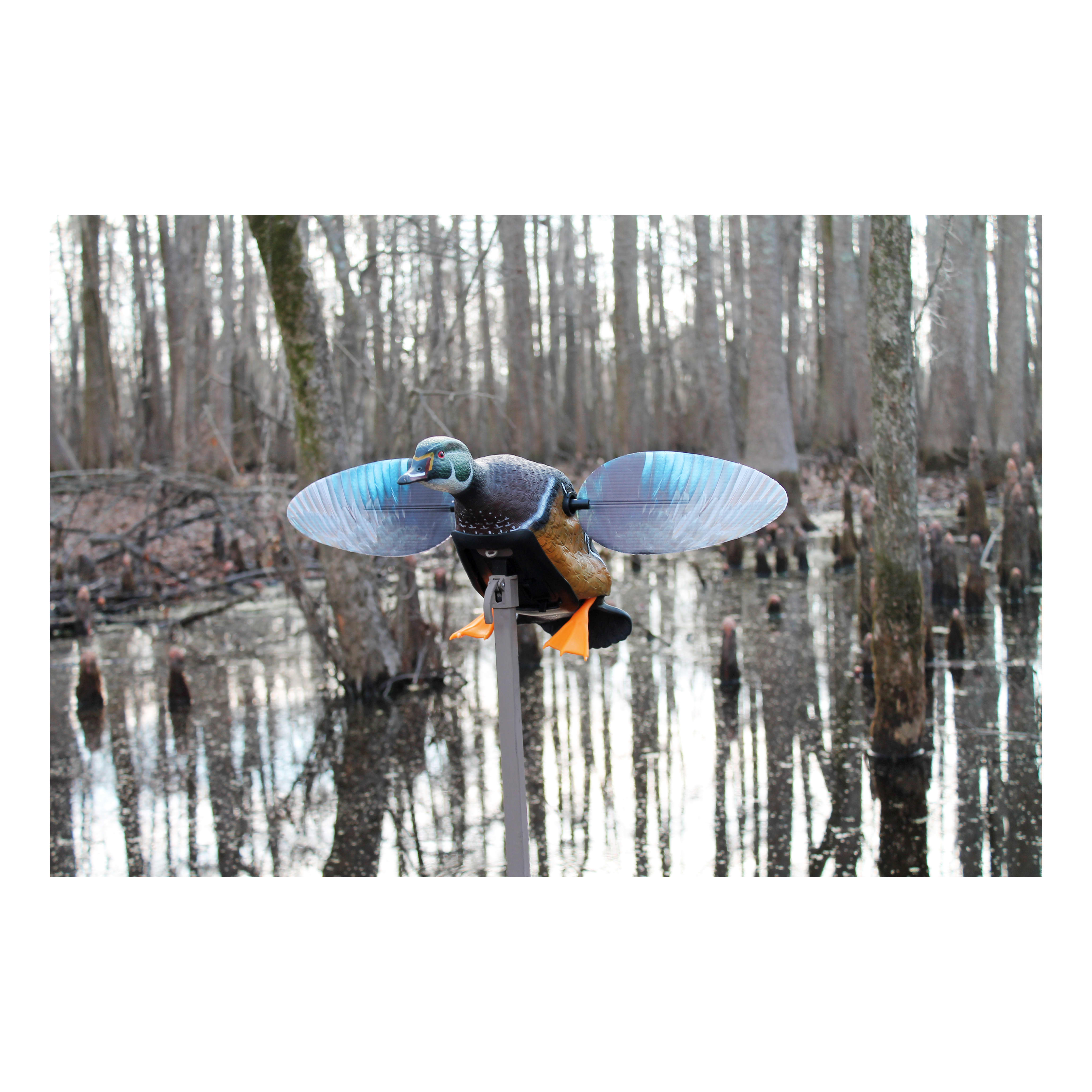 MOJO® Outdoors Elite Series™ Woody Duck Motorized Duck Decoy