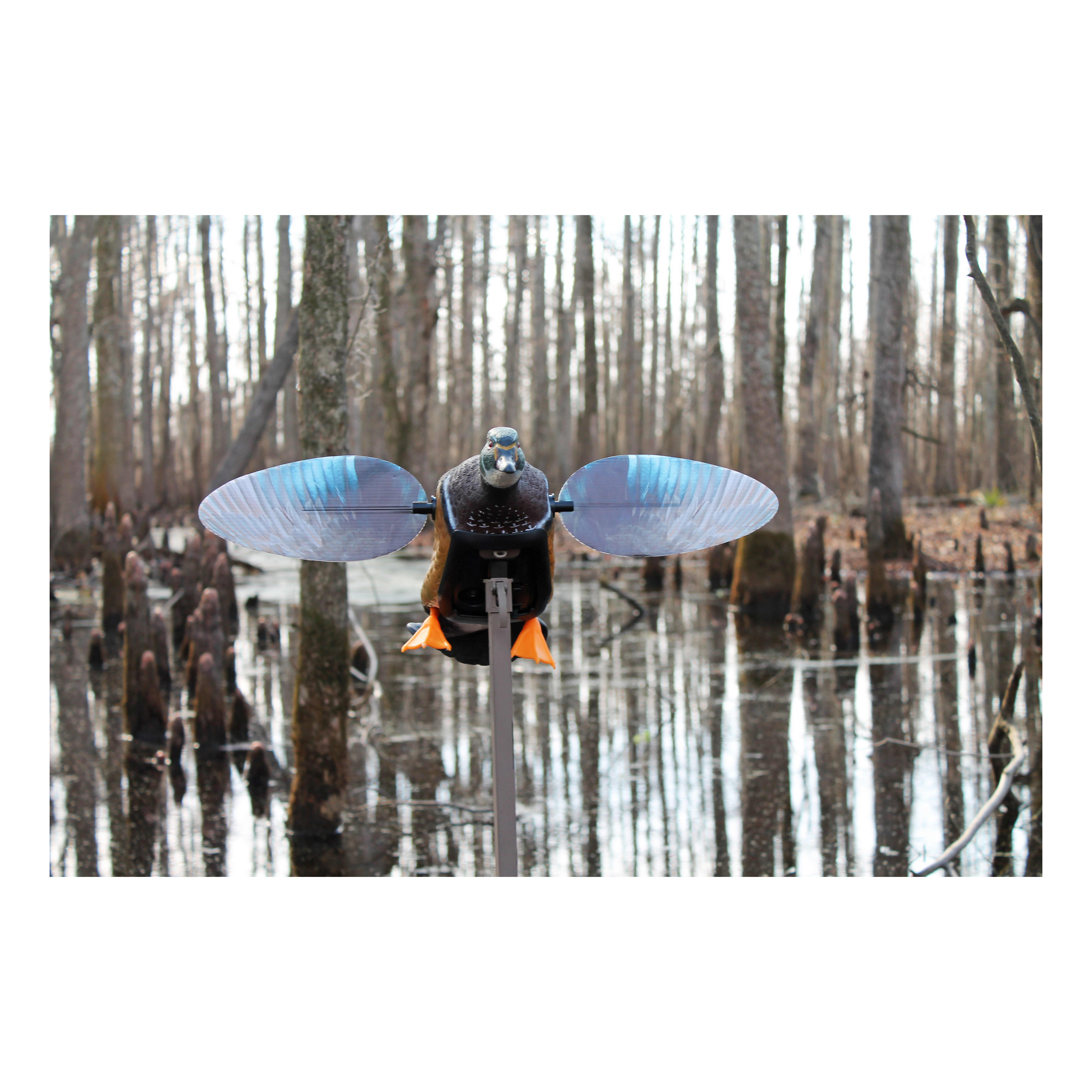 MOJO® Outdoors Elite Series™ Woody Duck Motorized Duck Decoy