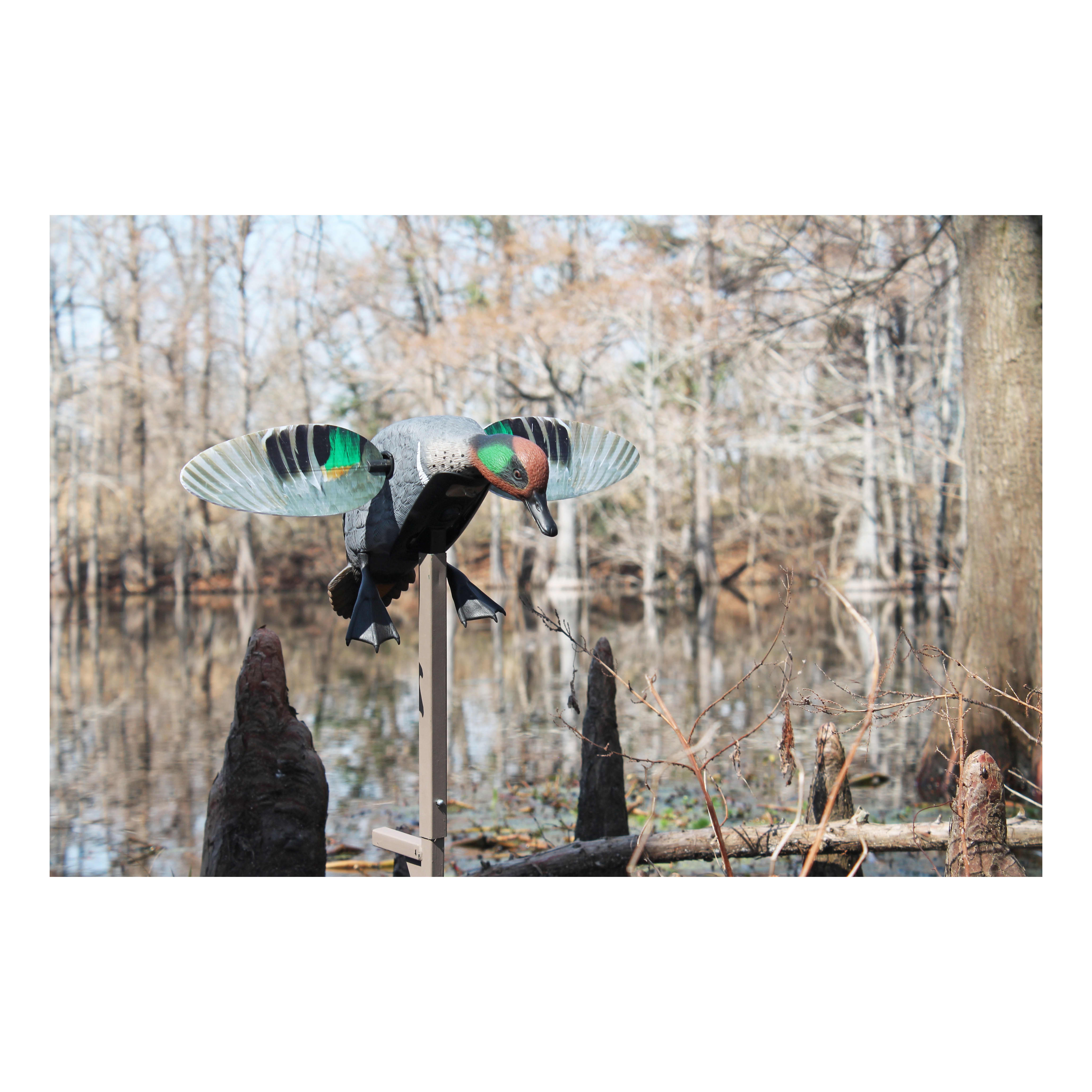 MOJO® Outdoors Elite Series™ GreenWinged Teal Motorized Duck Decoy