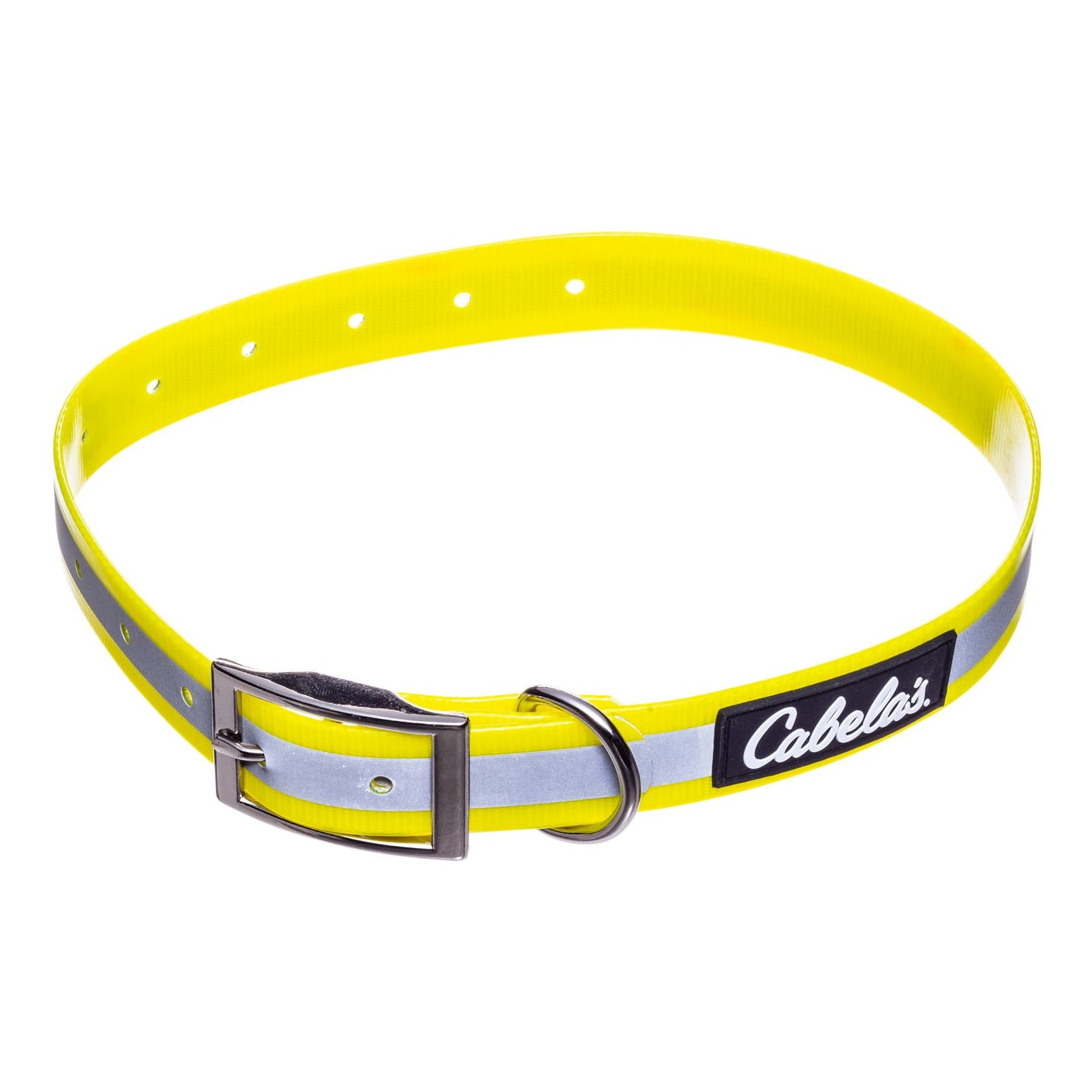 High visibility sales dog collar
