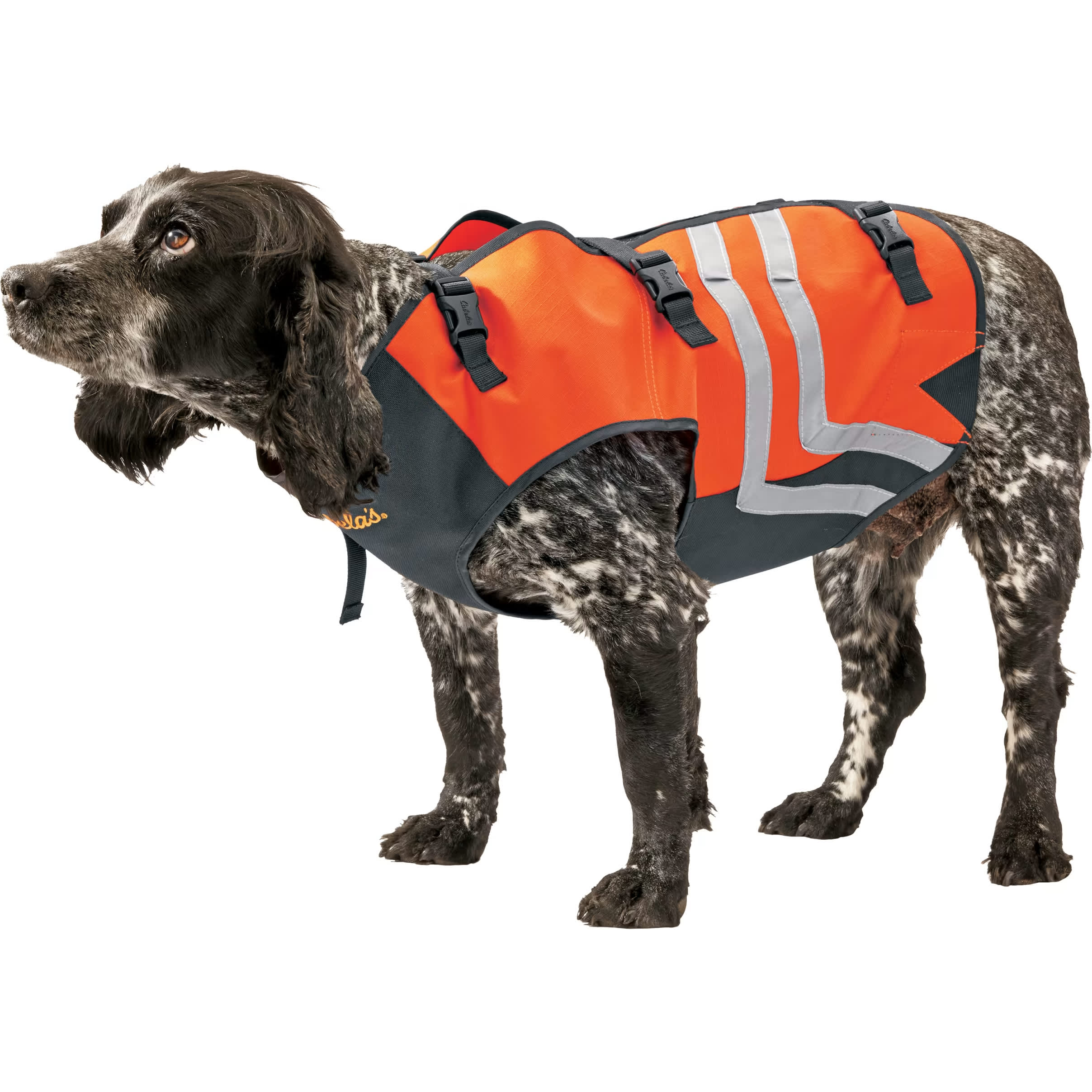 Dog chest protection vest hot sale