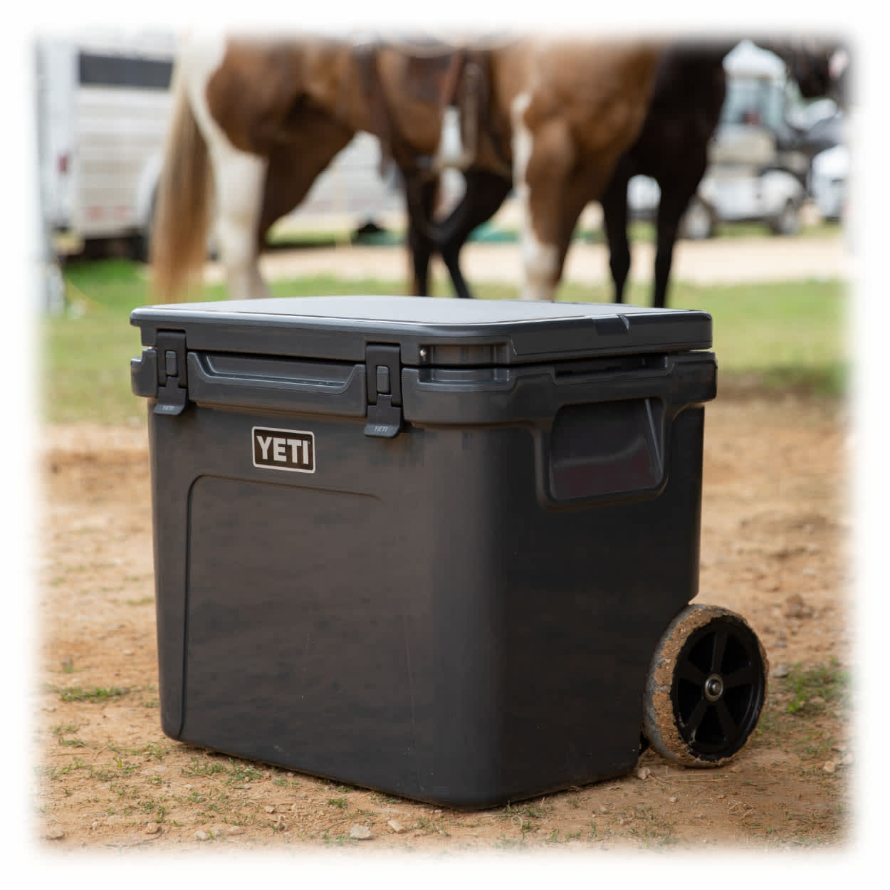 YETI® Roadie® 48 Hard Wheeled Cooler Cabela's Canada
