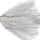 Pearl Shad
