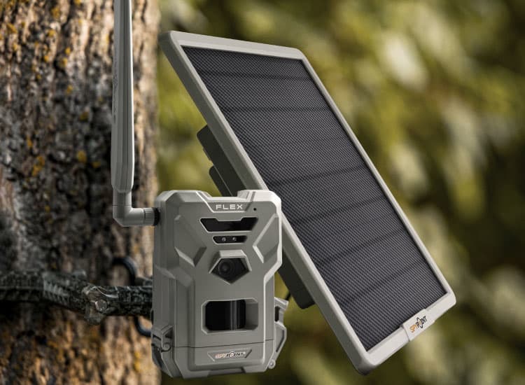 SPYPOINT® 12V Lithium Battery Solar Panel Cabela