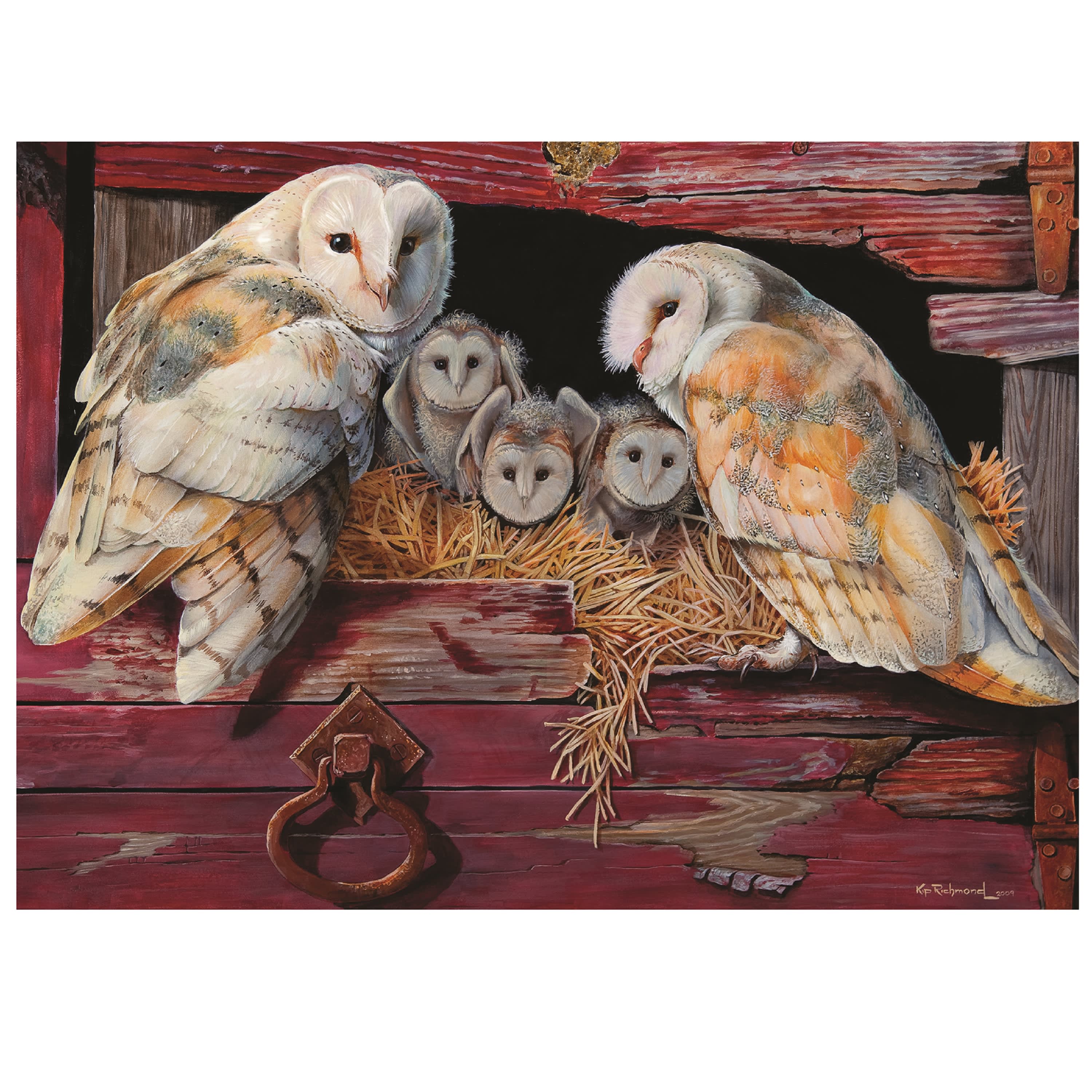 Cobble Hill Barn Owls Puzzle - 1000 Pieces