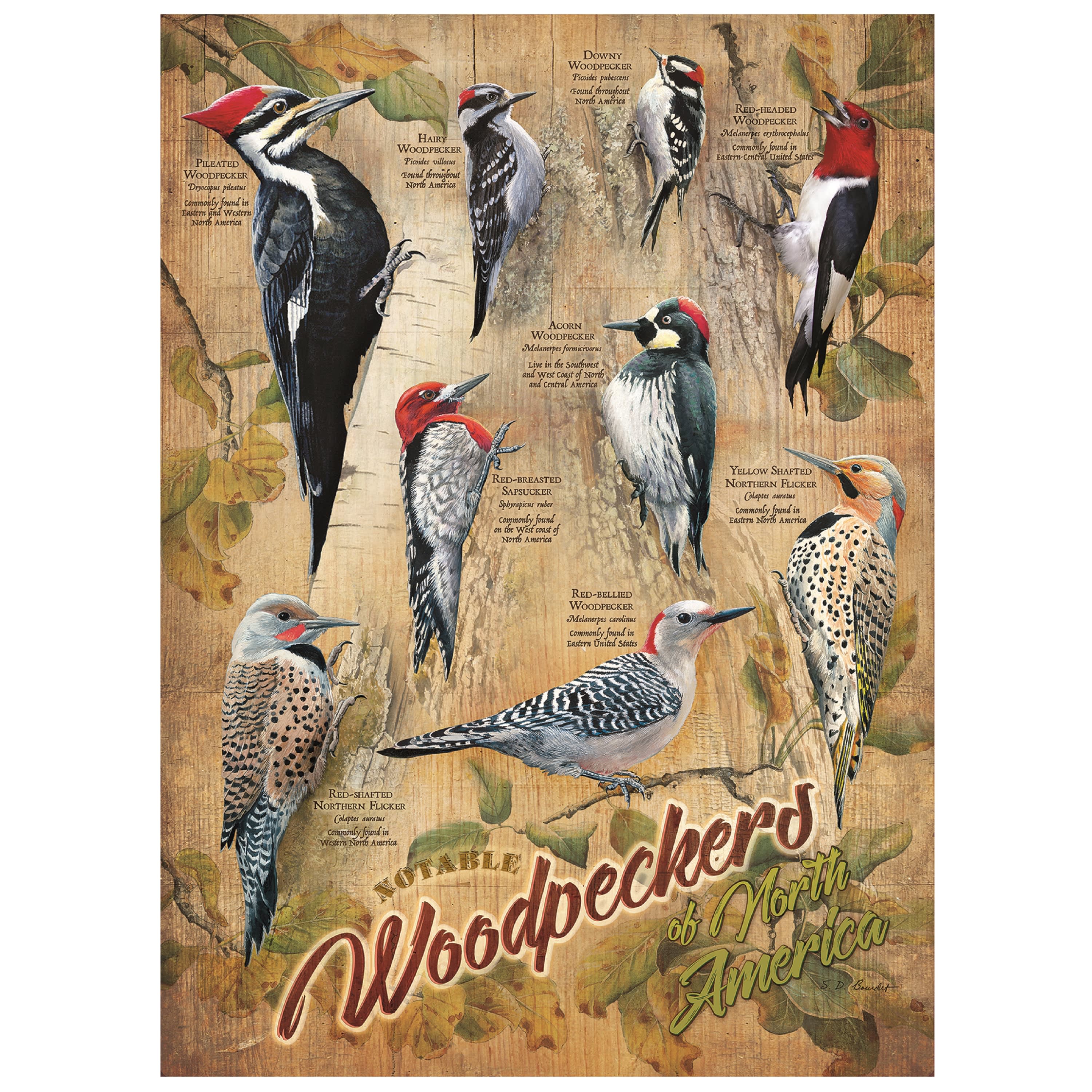 Cobble Hill Notable Woodpeckers Puzzle - 500 Pieces