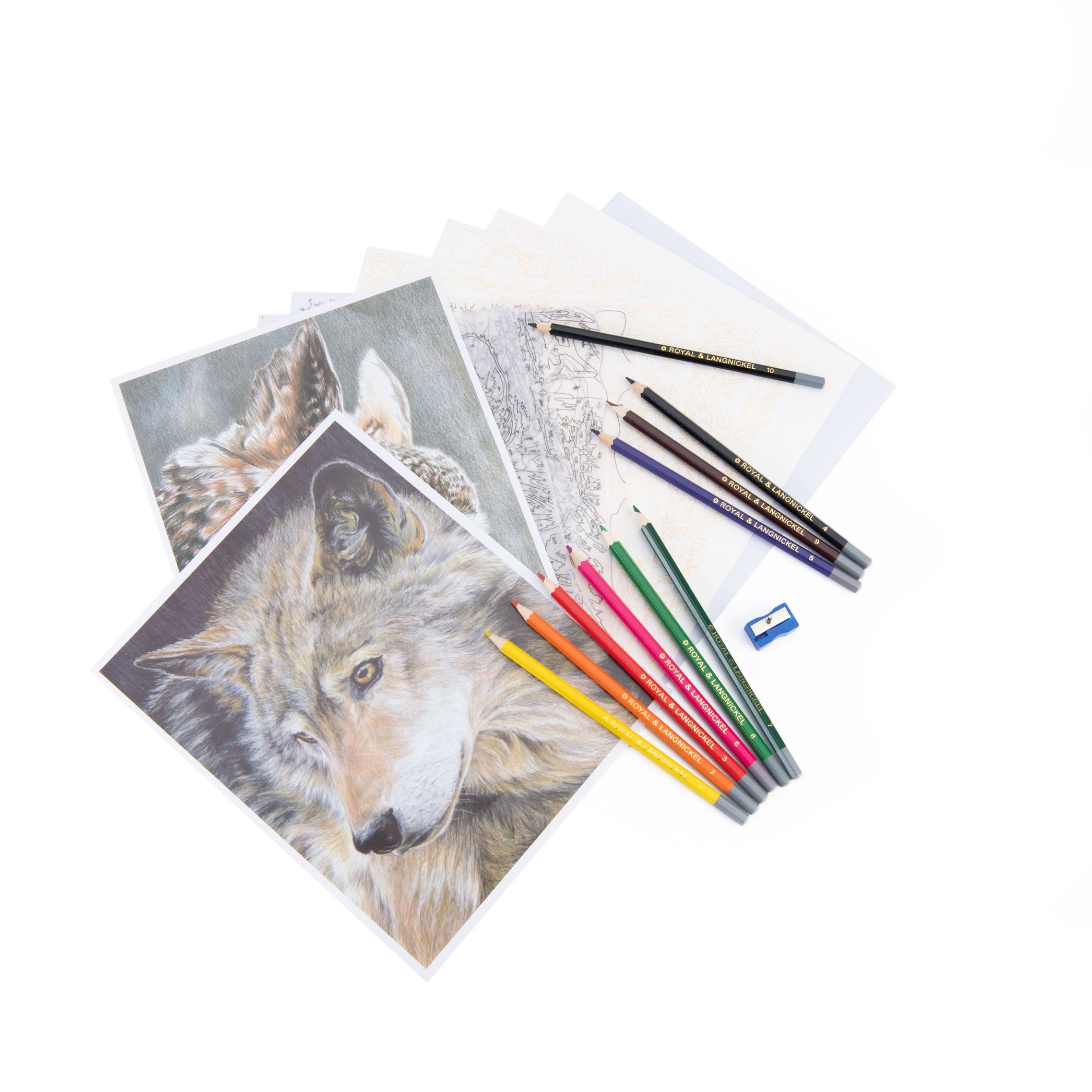 Royal & Langnickel Colour Pencil Set - American Wildlife