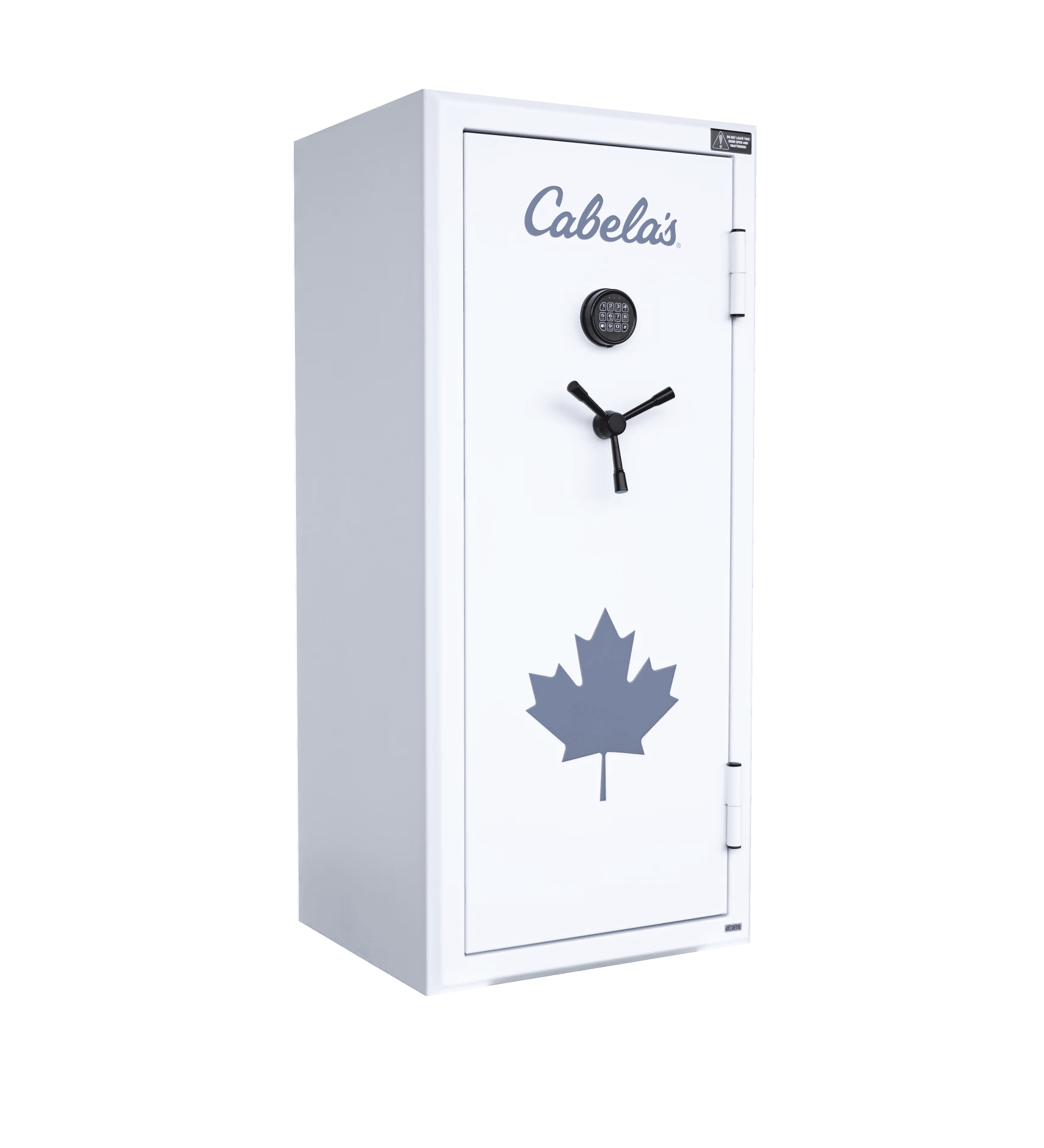 Cabela's gun online safe