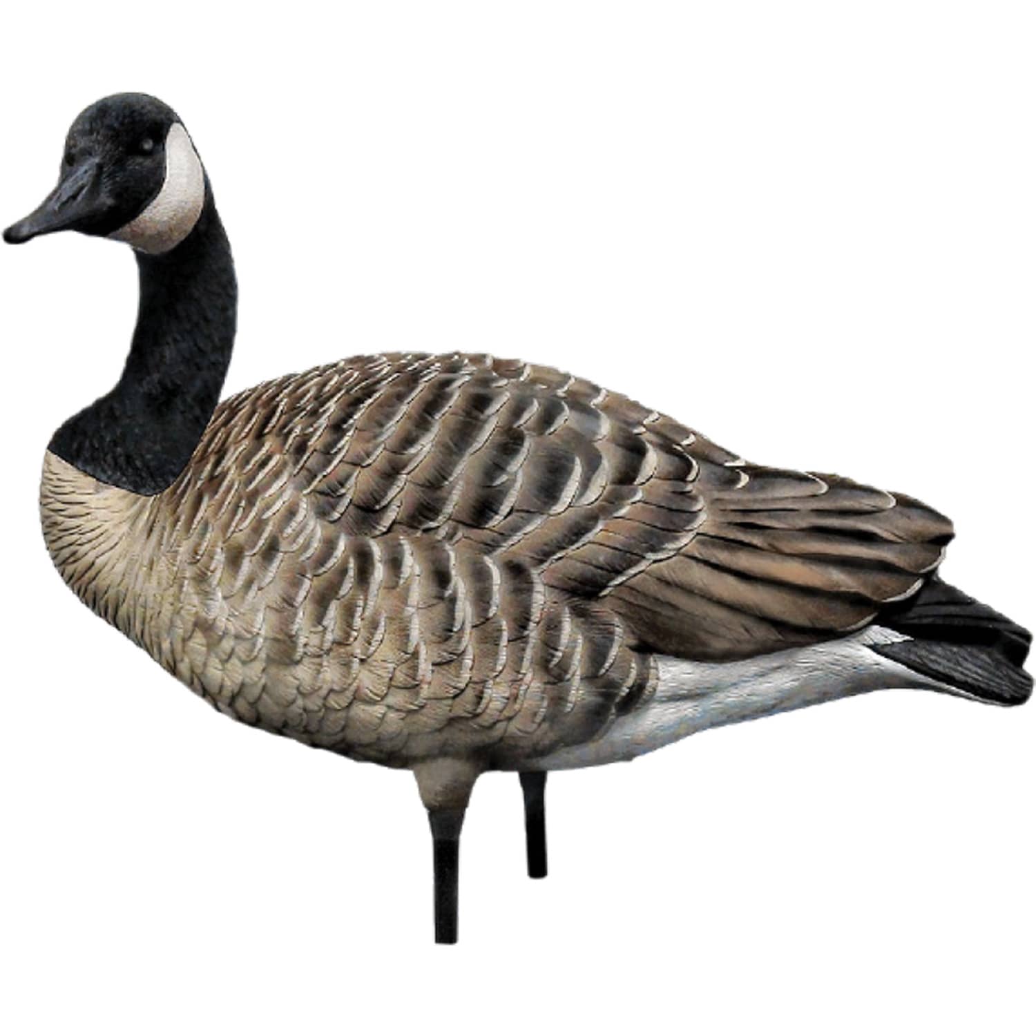 Avian-X® AXF Active Honker Goose Decoys 4 Pack