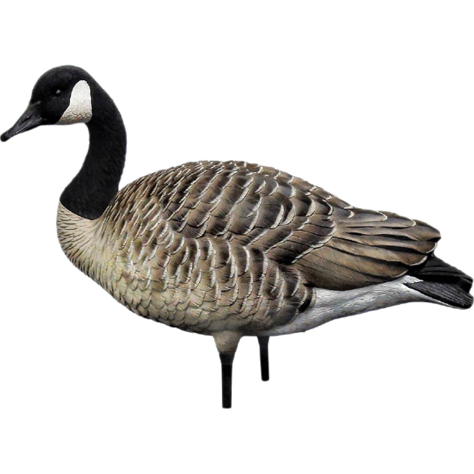 AvianX® AXF Active Honker Goose Decoys 4 Pack Cabela's Canada