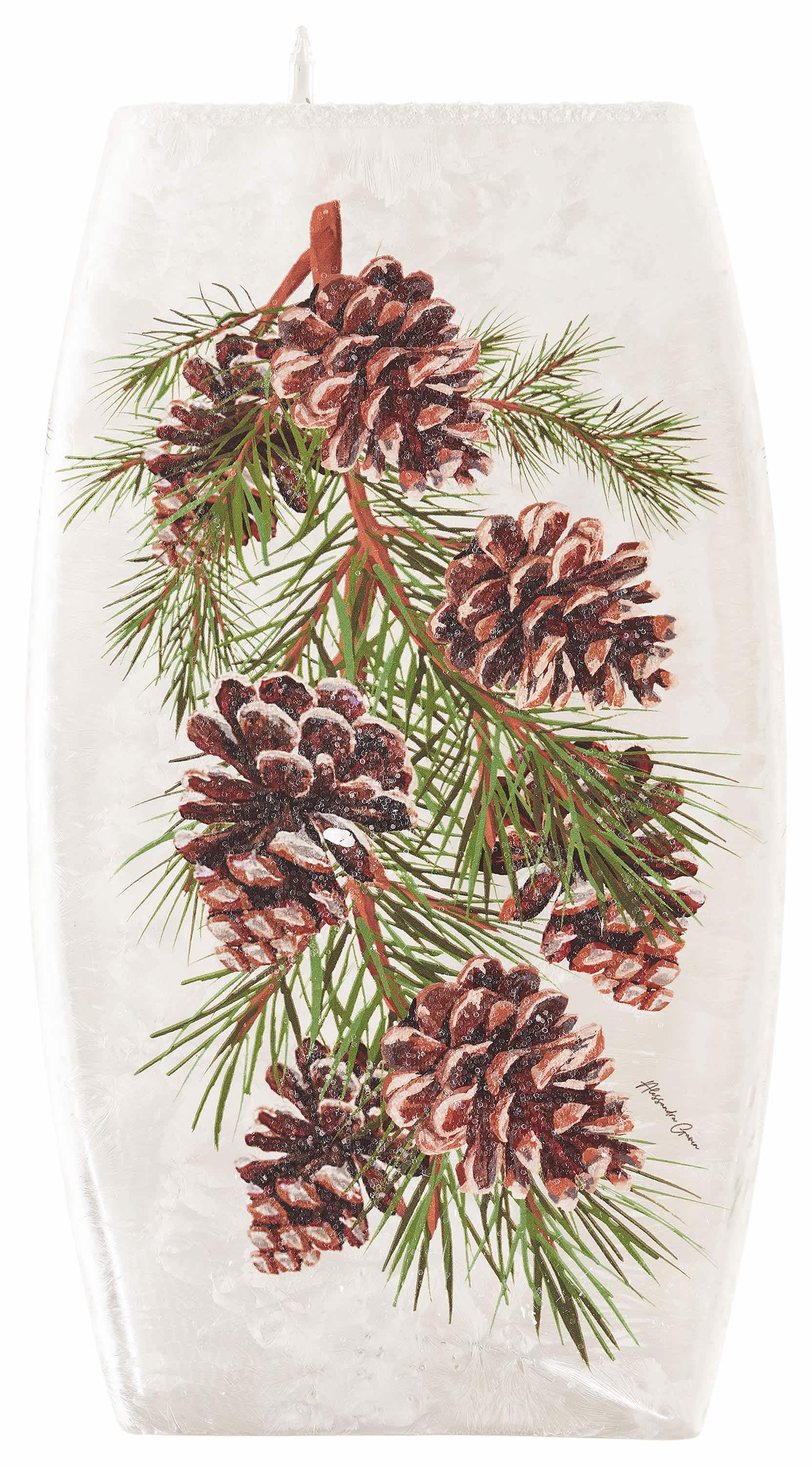 Stony Creek Pine Branch with Pinecones Lighted Glass Décor
