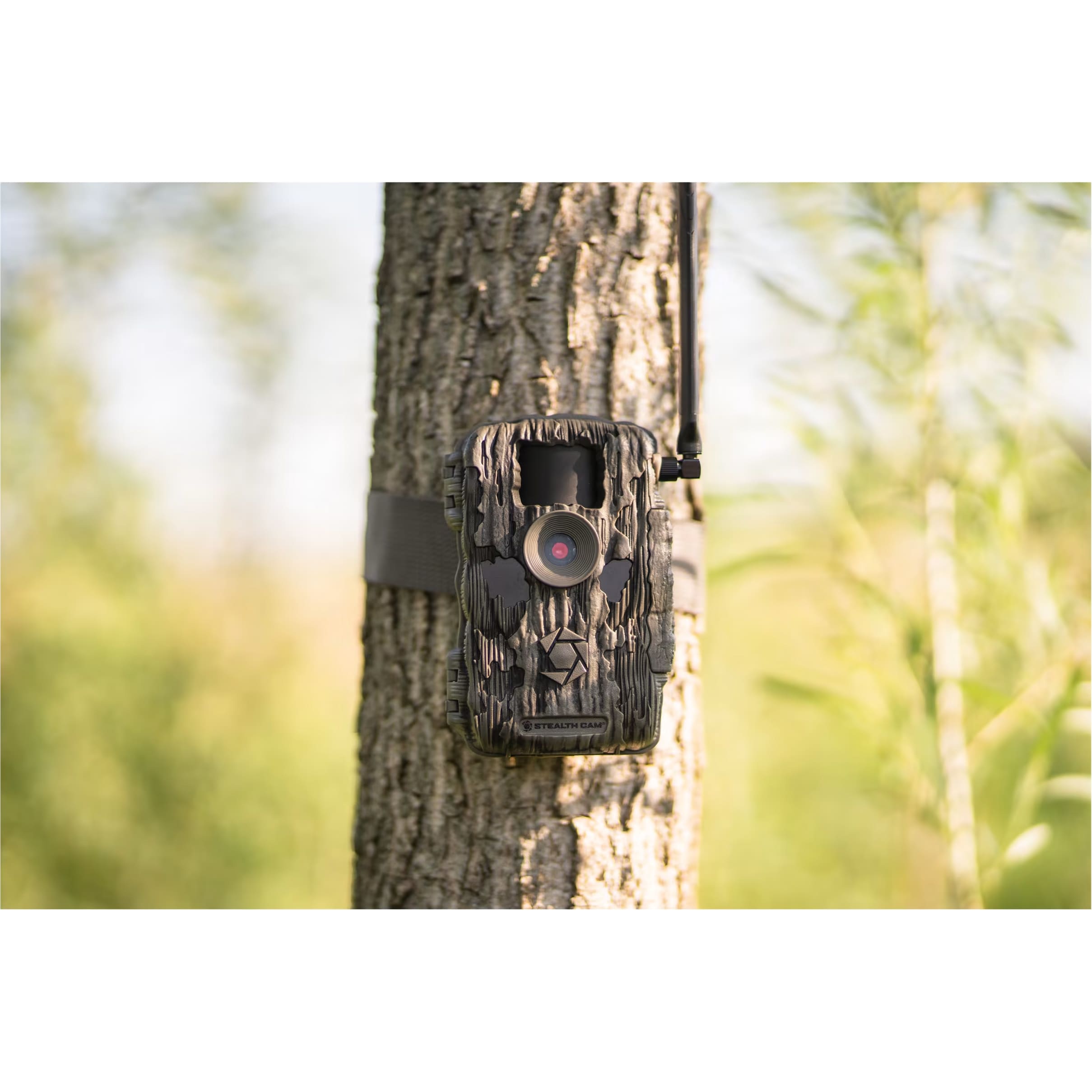 Stealth Cam® Fusion XPro 36MP Trail Camera Cabela