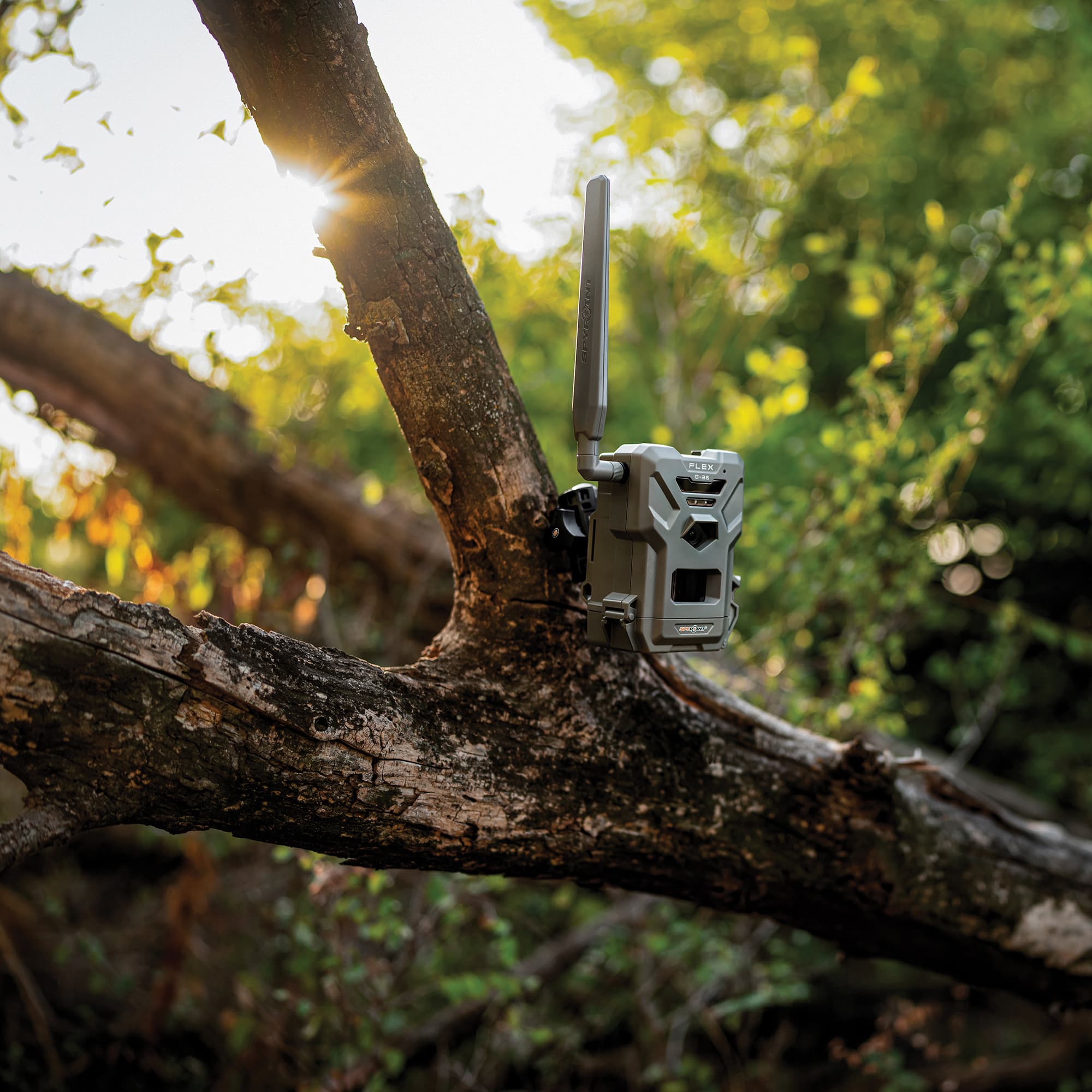 SPYPOINT FLEX G36 Cellular Trail Camera Twin Pack Cabela's Canada