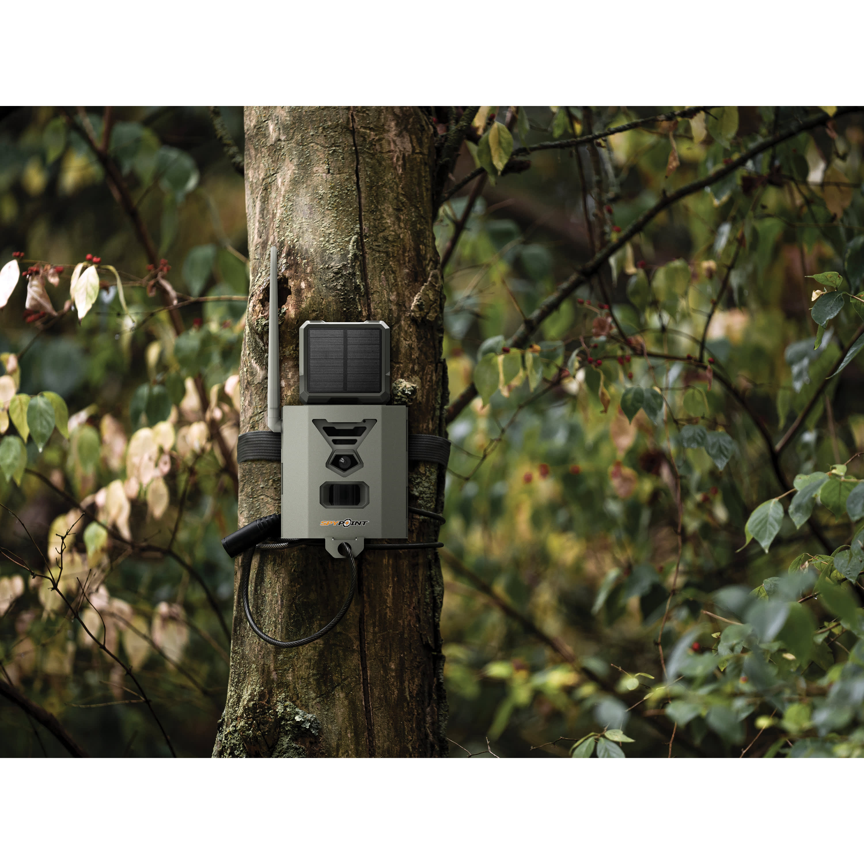SPYPOINT® Steel Security Box For FLEX Cameras Cabela's Canada
