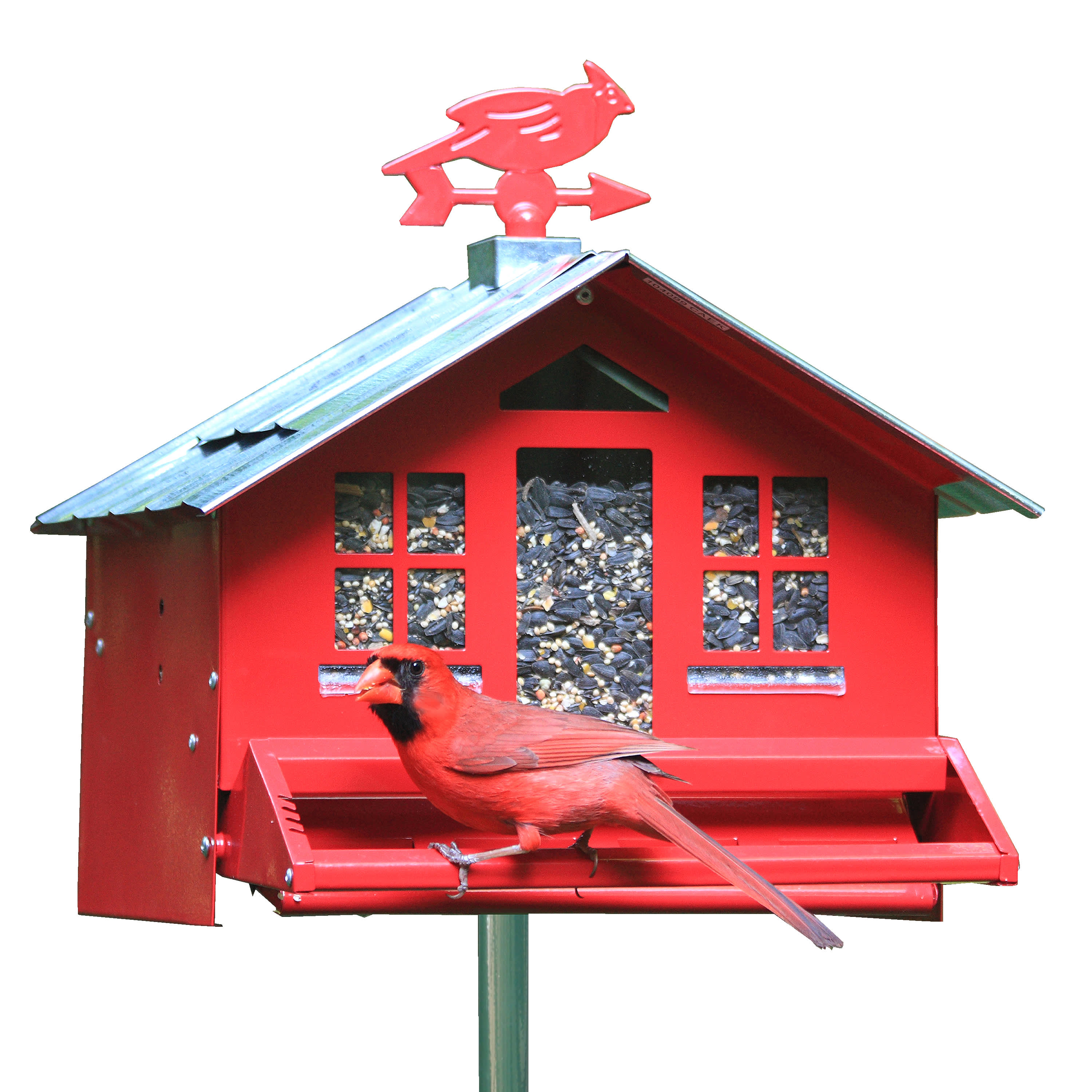 PerkyPet® SquirrelBeGone II Country Style Bird Feeder Cabela's Canada