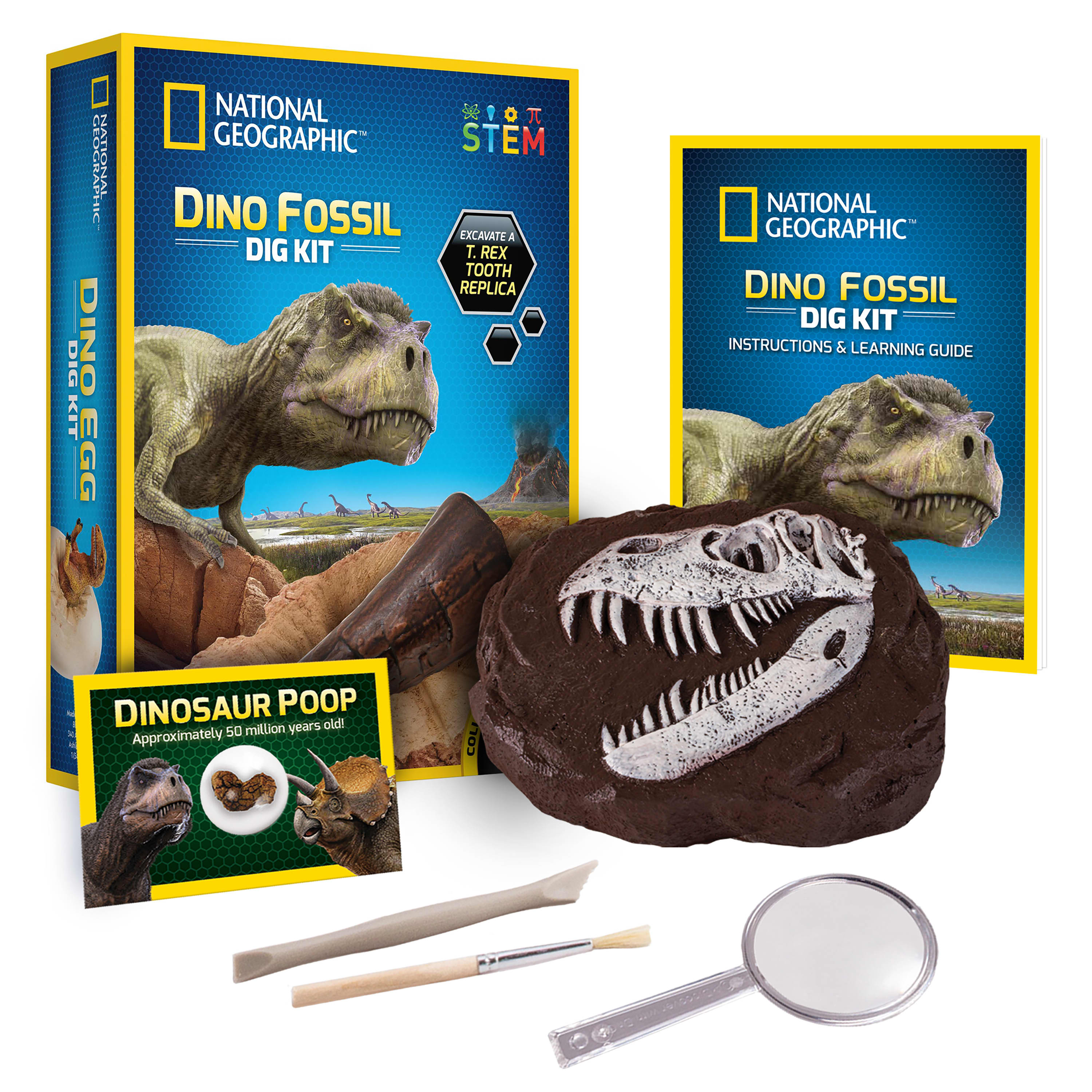 National geographic 2025 terrarium kit