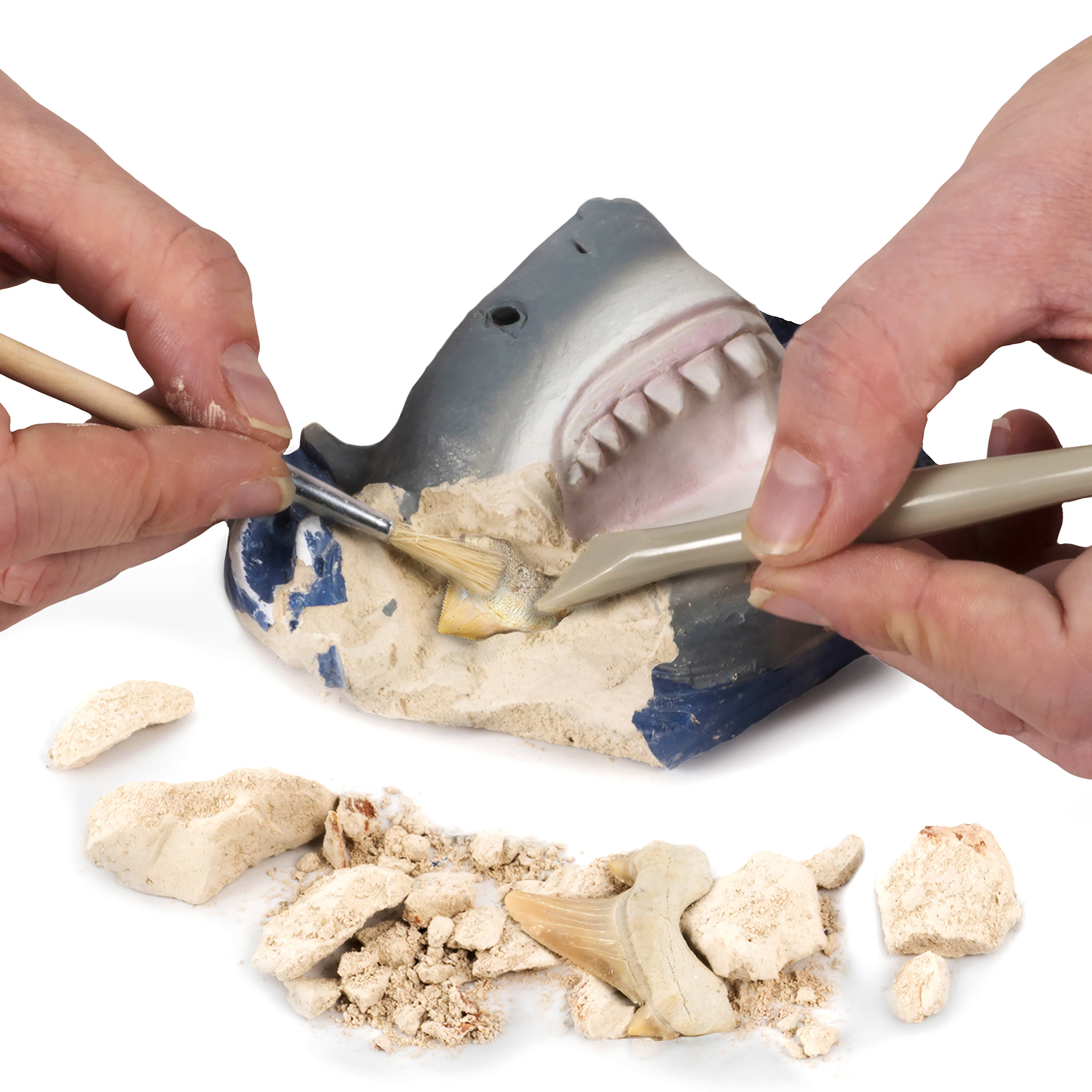 National Geographic® Shark Tooth Dig Kit