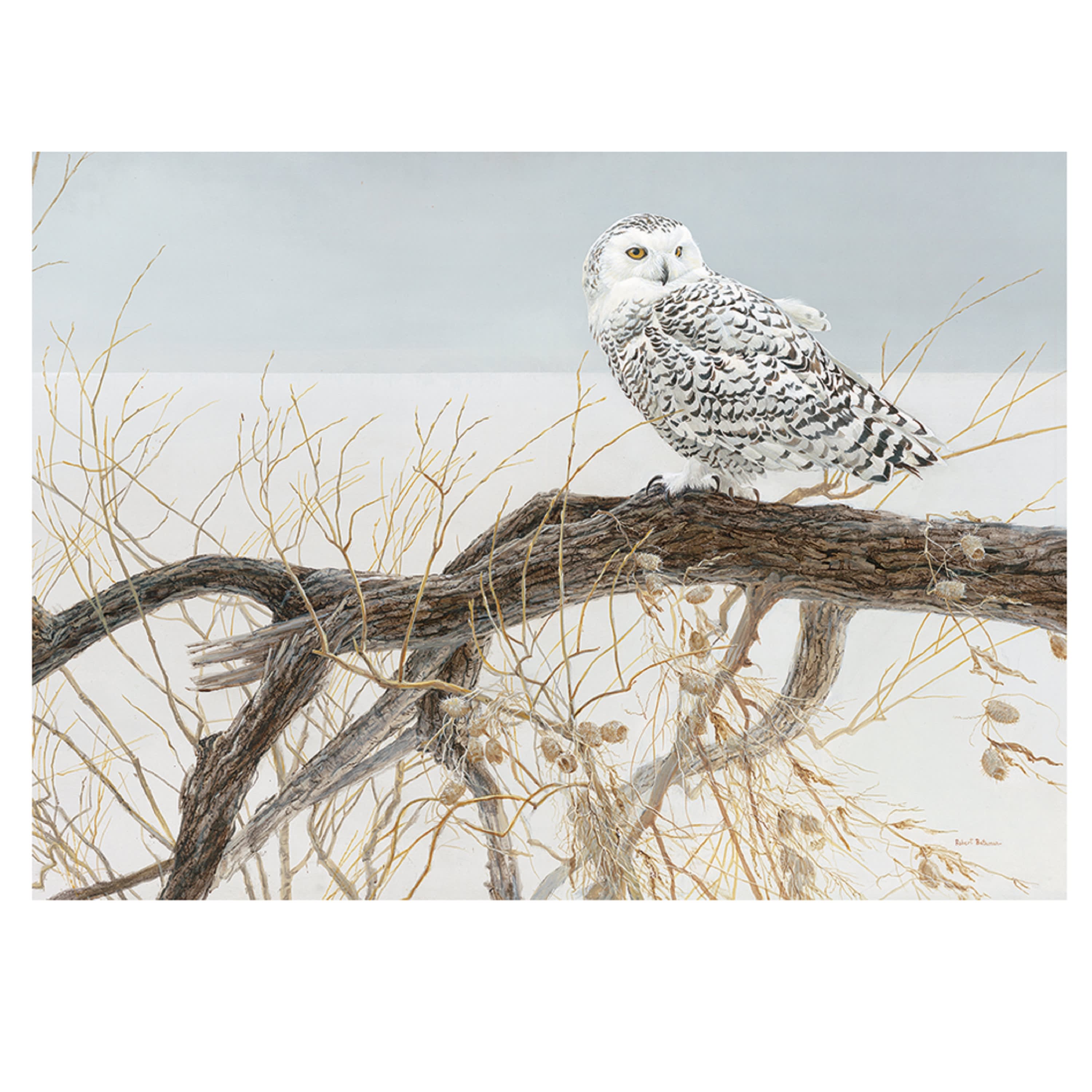 Cobble Hill Fallen Willow Snowy Owl Puzzle - 500 Pieces