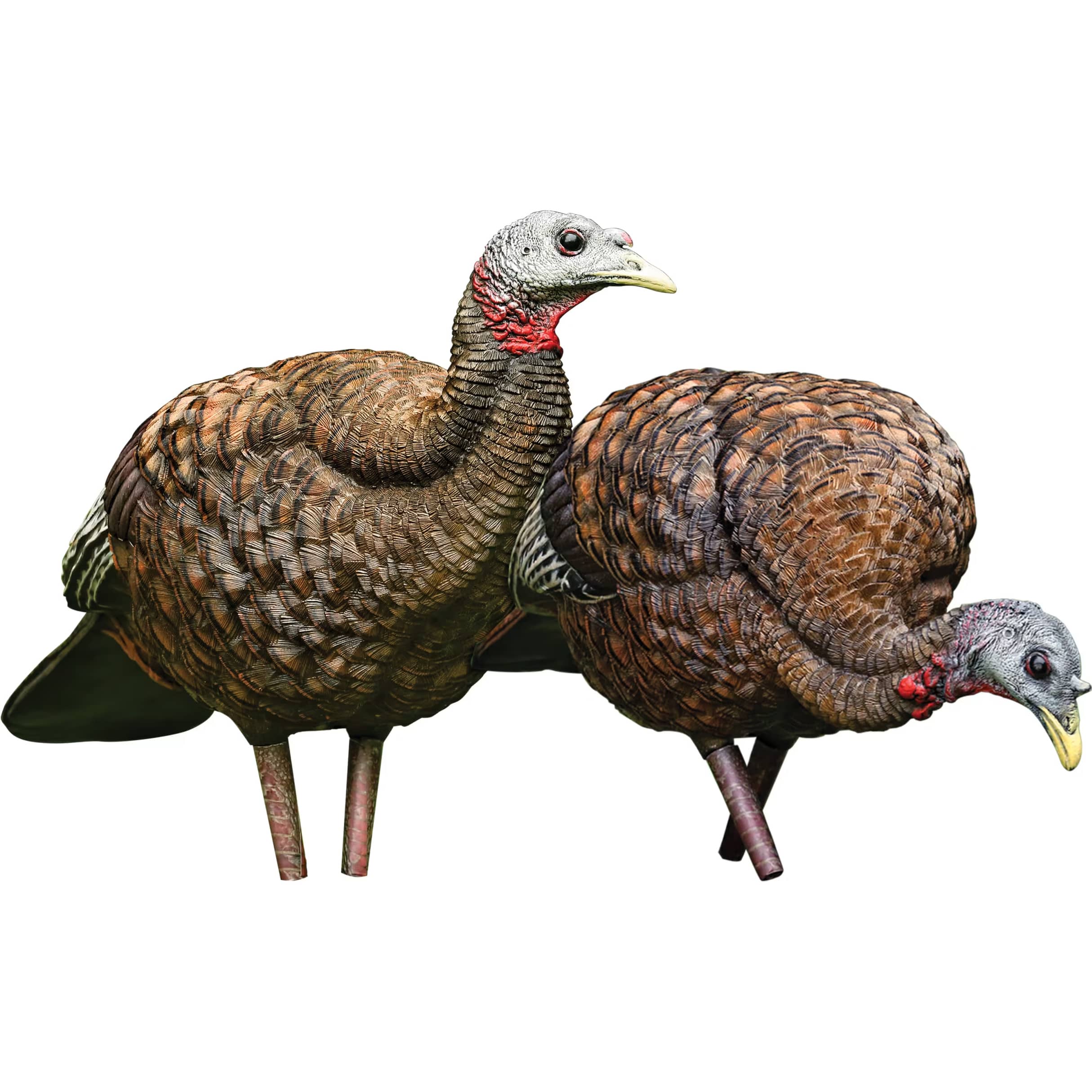 AvianX® Pair of Ladies LCD Breeder/Feeder Hen Turkey Decoy Combo