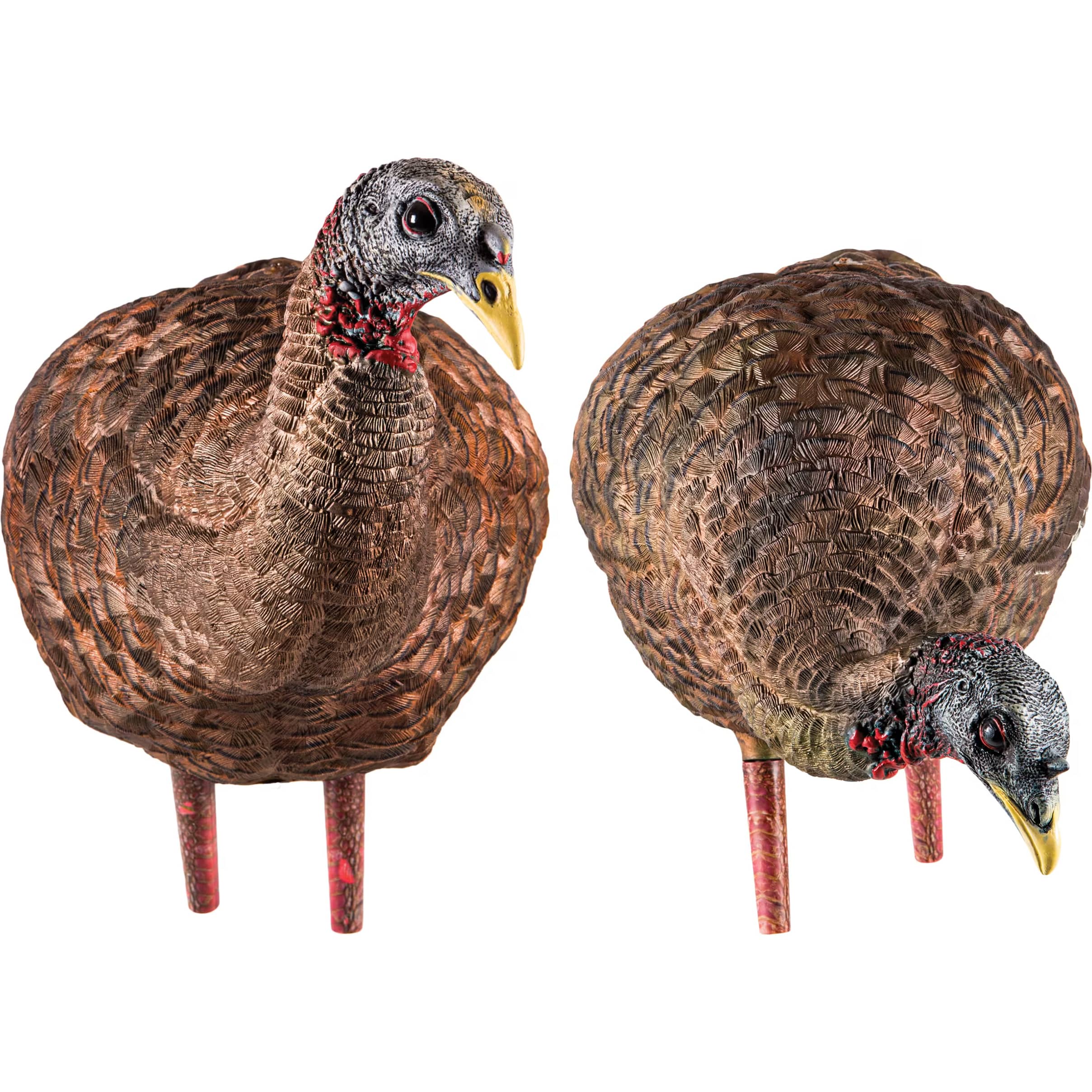 AvianX® Pair of Ladies LCD Breeder/Feeder Hen Turkey Decoy Combo