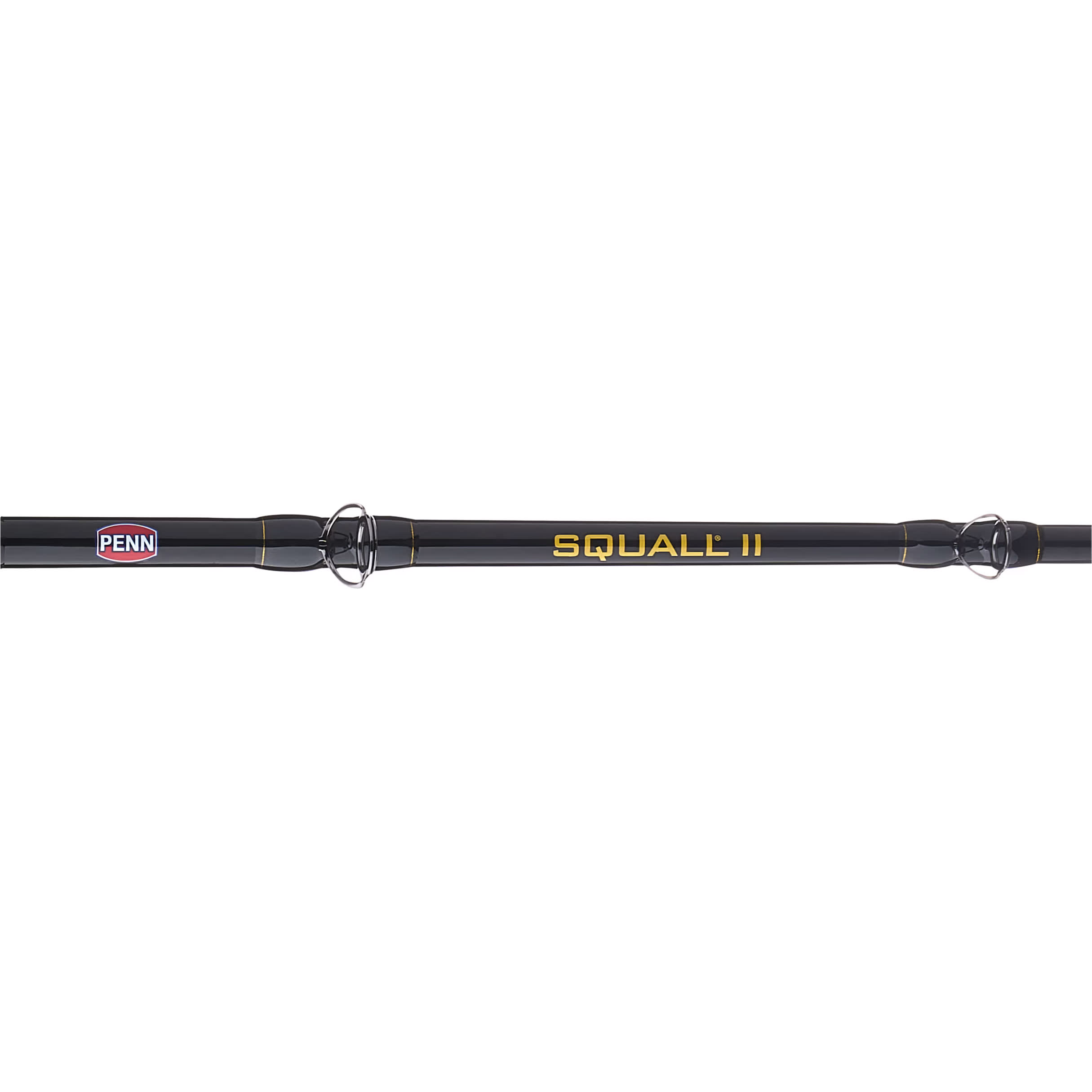 PENN® Squall® II Lever Drag Conventional Combo