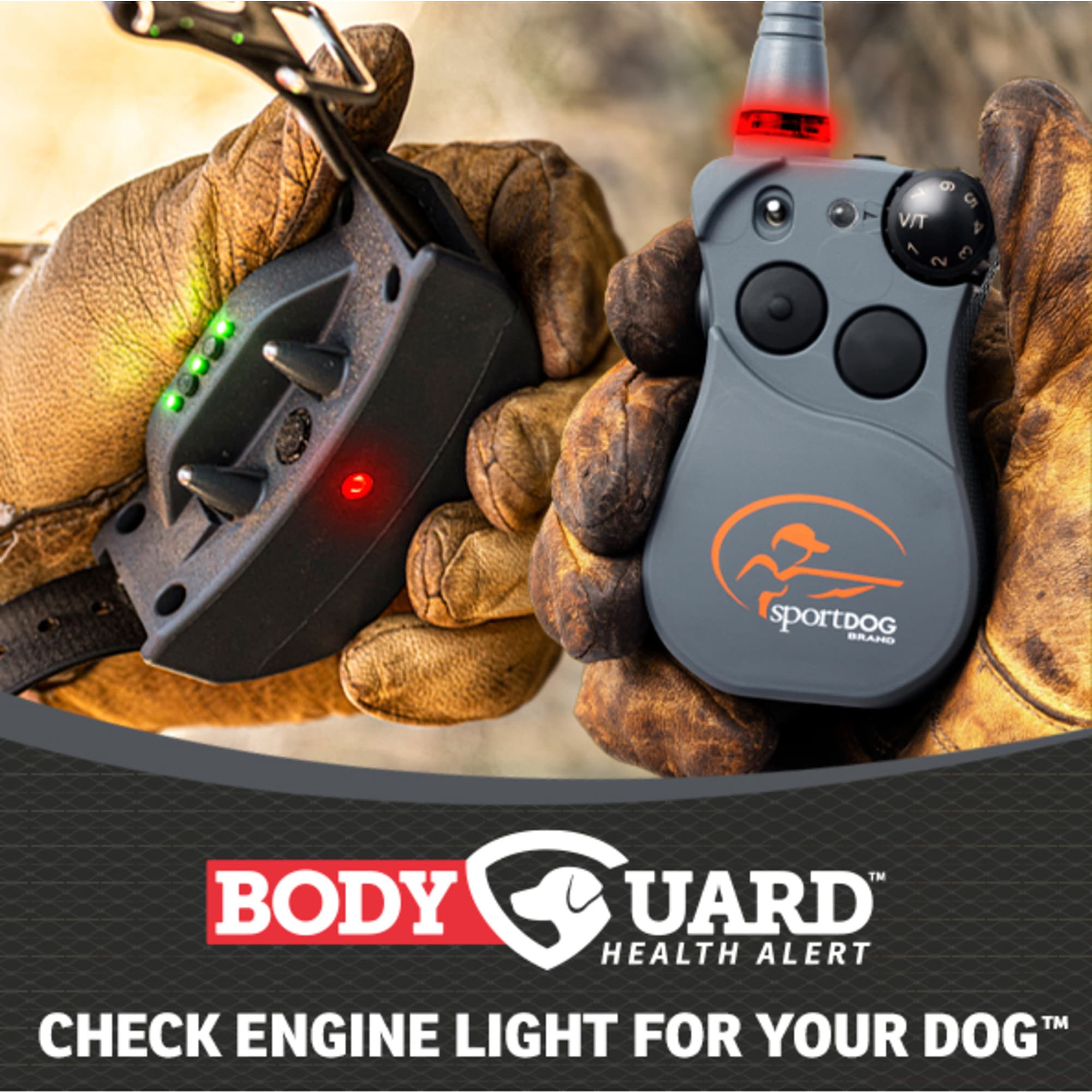 SportDOG Brand® FieldSentinel Electronic Dog-Training System – 1/2 Mile Range