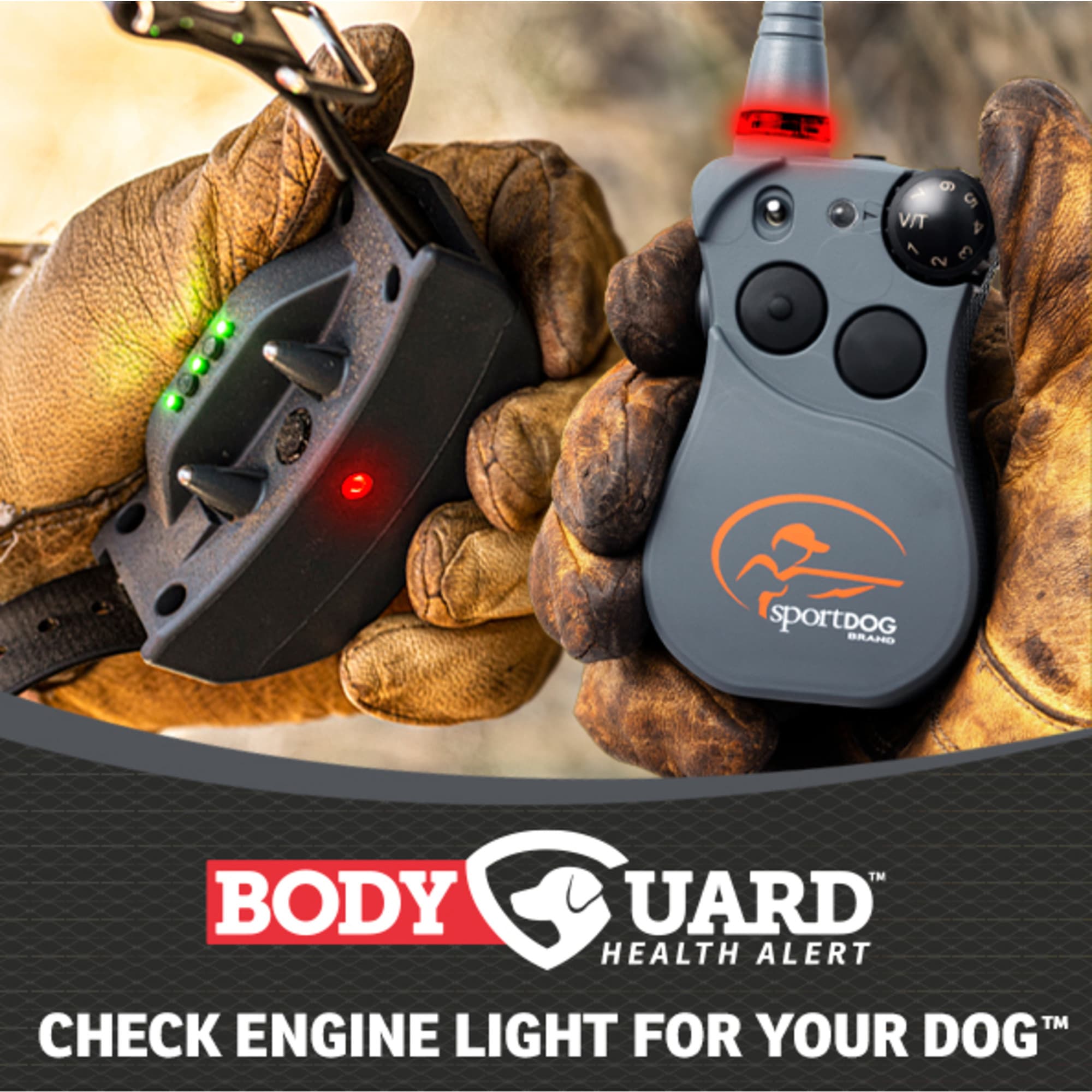 SportDOG Brand® FieldSentinel Electronic Dog-Training System – 1/2 Mile  Range