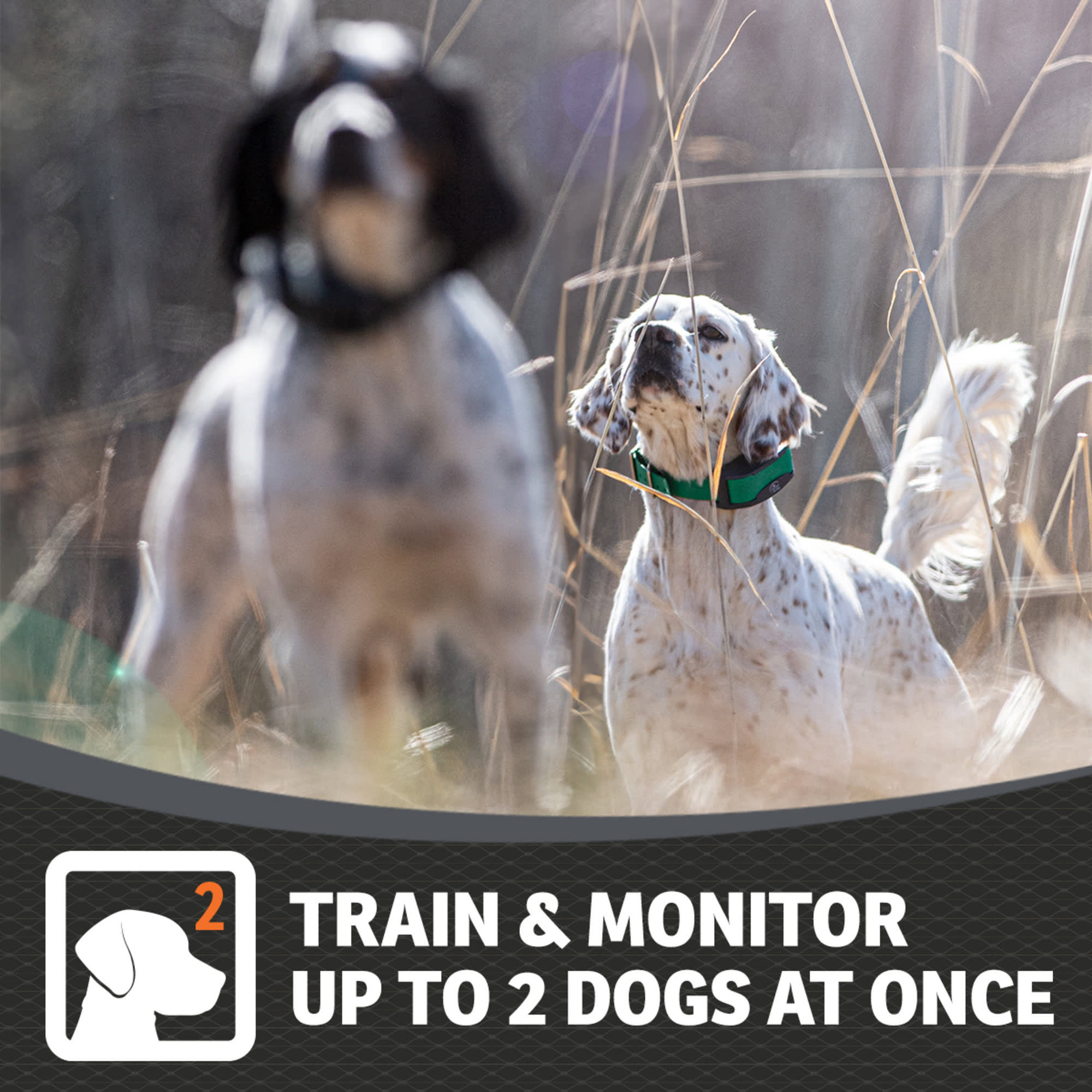 SportDOG Brand® FieldSentinel Electronic Dog-Training System – 1/2 Mile Range