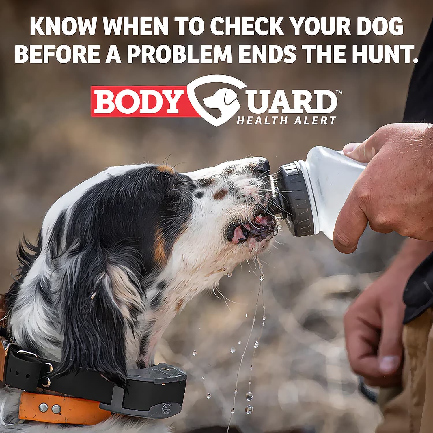 Sportdog 1825 add a collar 2025