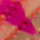 Pink Tiger UV