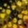 Gold Fluorescent Perch UV