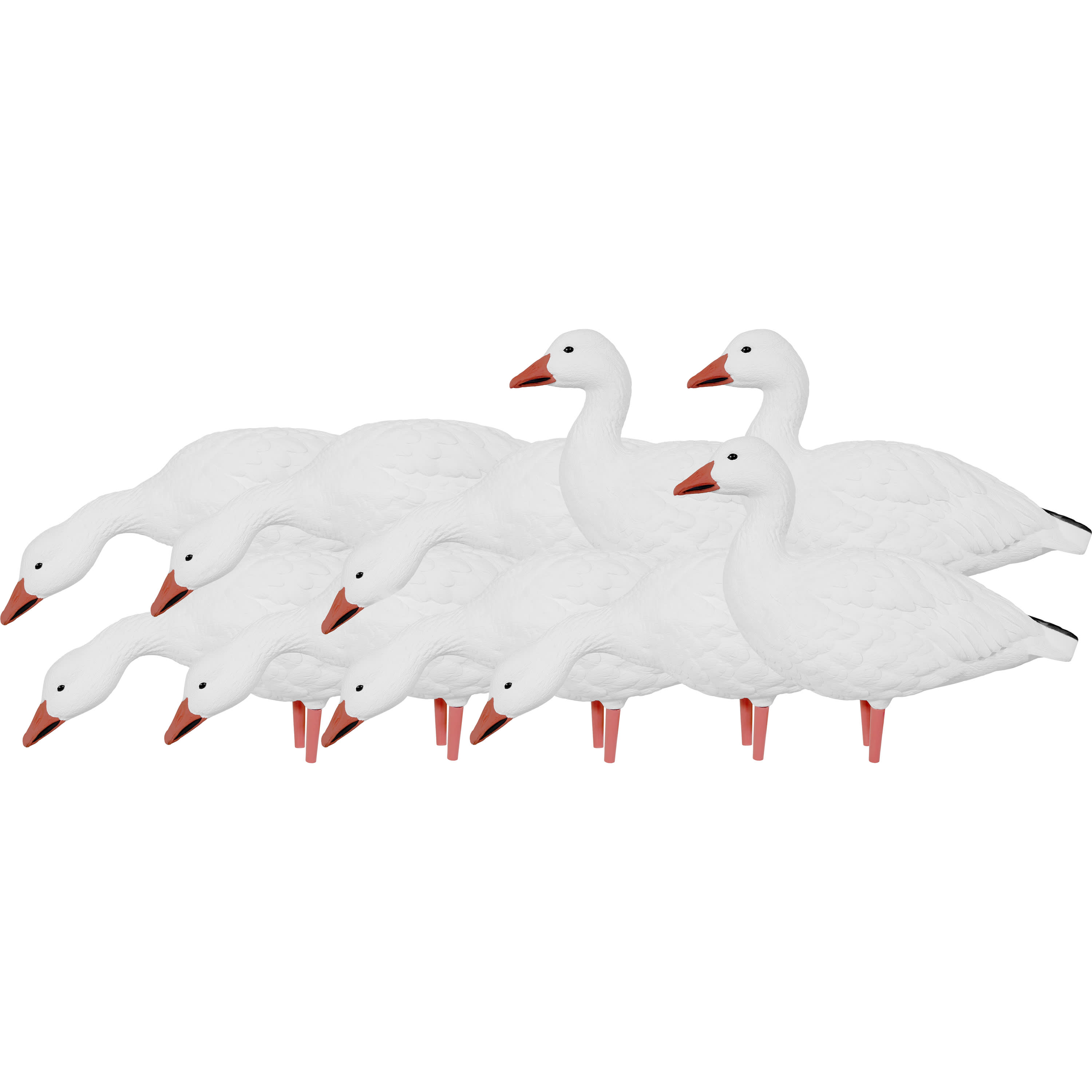 Avian-X AXP Snow Goose Decoys Adult 10-Pack | Cabela's Canada
