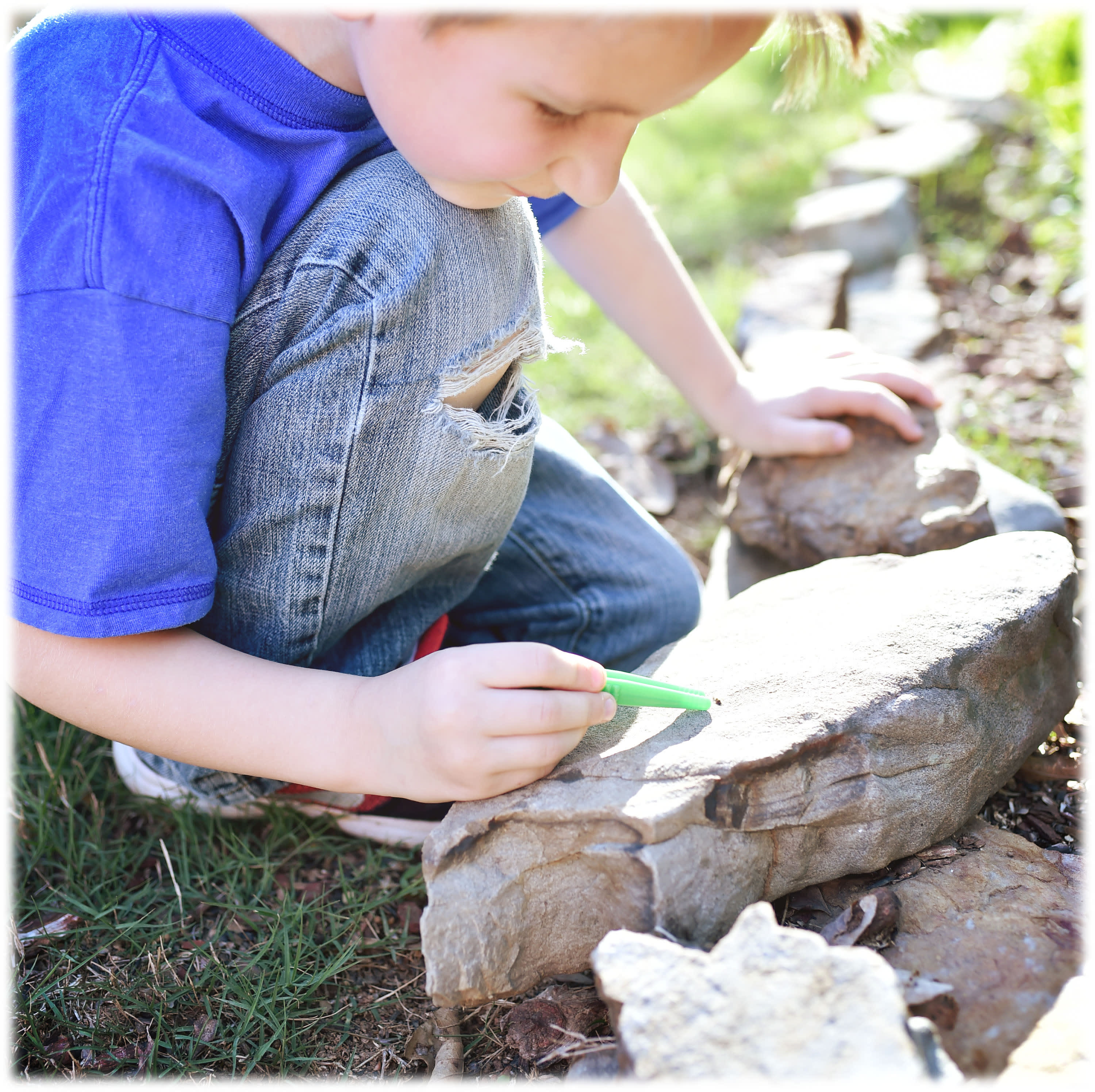 Nature Bound® Bug Bucket Habitat Play Set