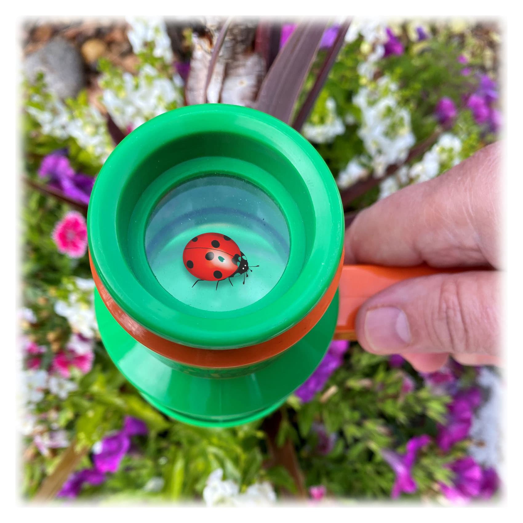 Nature Bound® Bug Catcher and Viewer