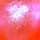 #47 Polar Frost FLO Orange
