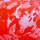 #27 Mottled Soft Bead FLO BC Orange