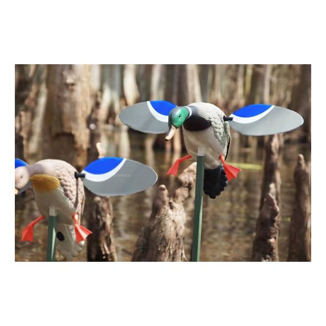 MOJO Outdoors Baby/Floater Replacement Magnetic Wings - In the Field