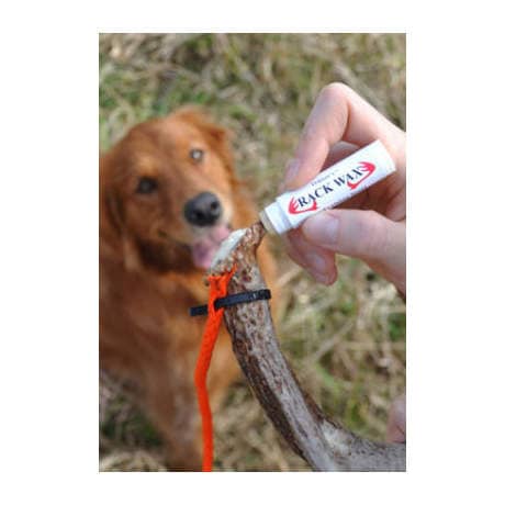 Dog collar rack on sale